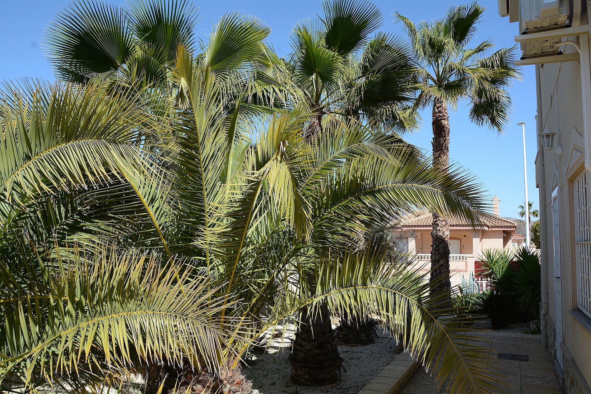 Sold - 3 Bedroom 3 Bathroom Villa in Hondon de las Nieves -  - Alicante