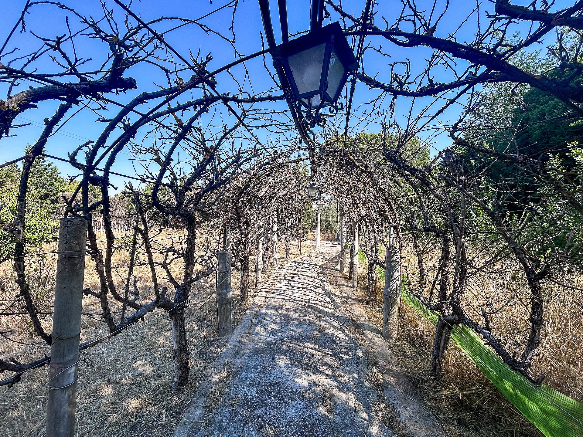 Resale - 4 Bedroom 2 Bathroom Country house in Sax -  - Alicante