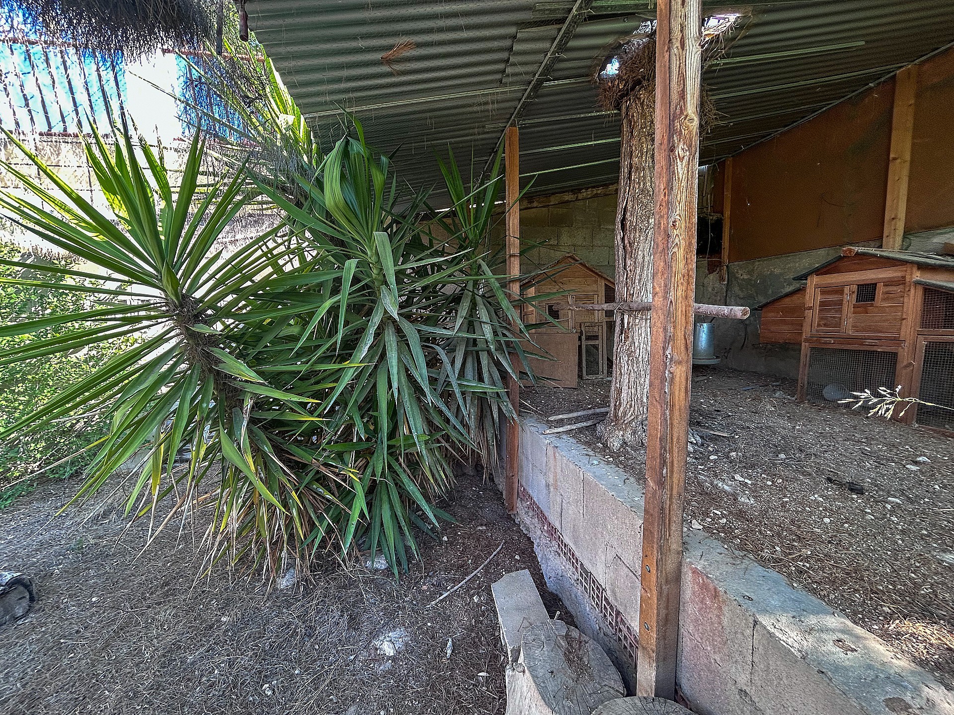 Resale - 4 Bedroom 2 Bathroom Country house in Sax -  - Alicante