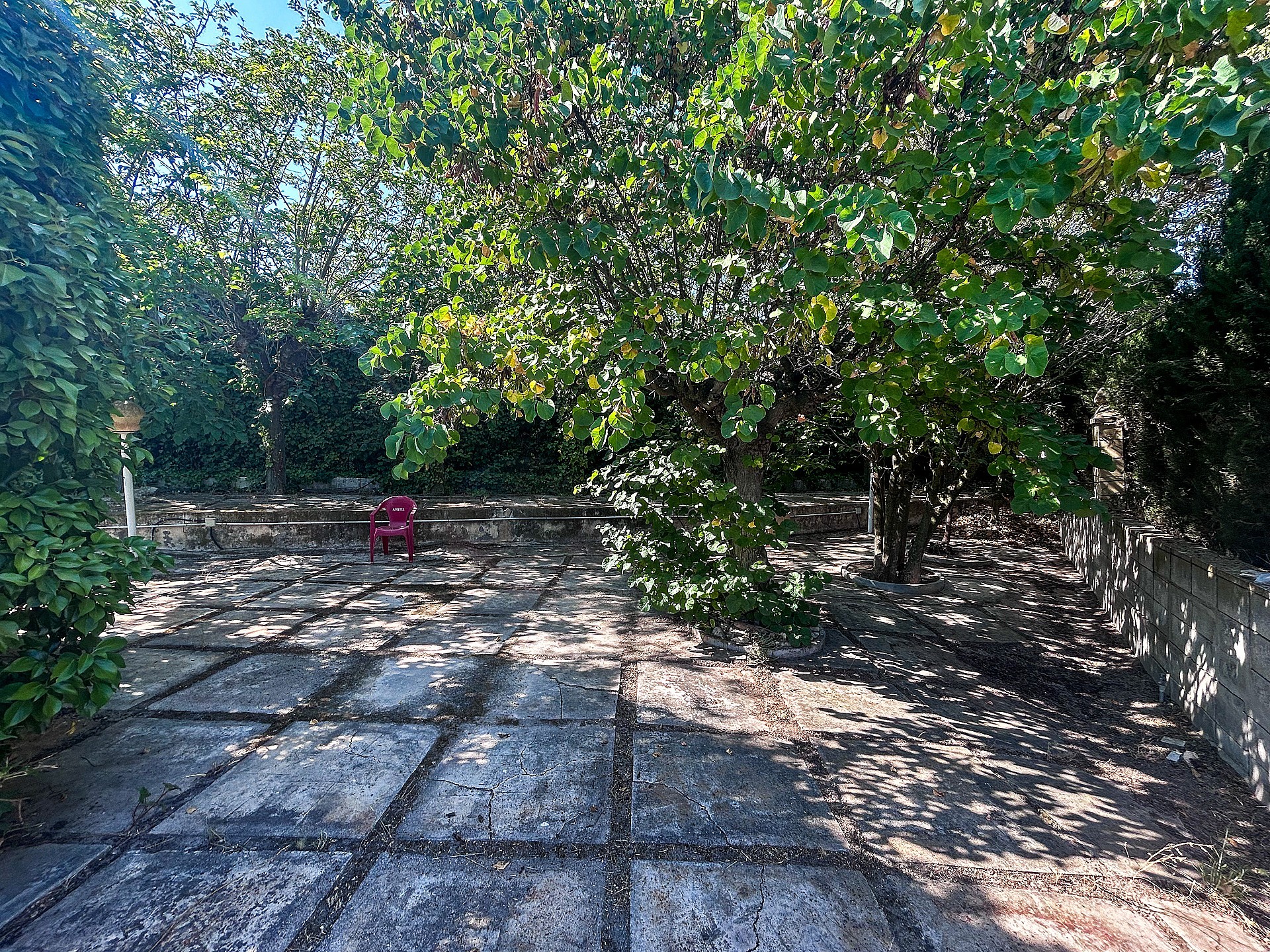 Resale - 4 Bedroom 2 Bathroom Country house in Sax -  - Alicante