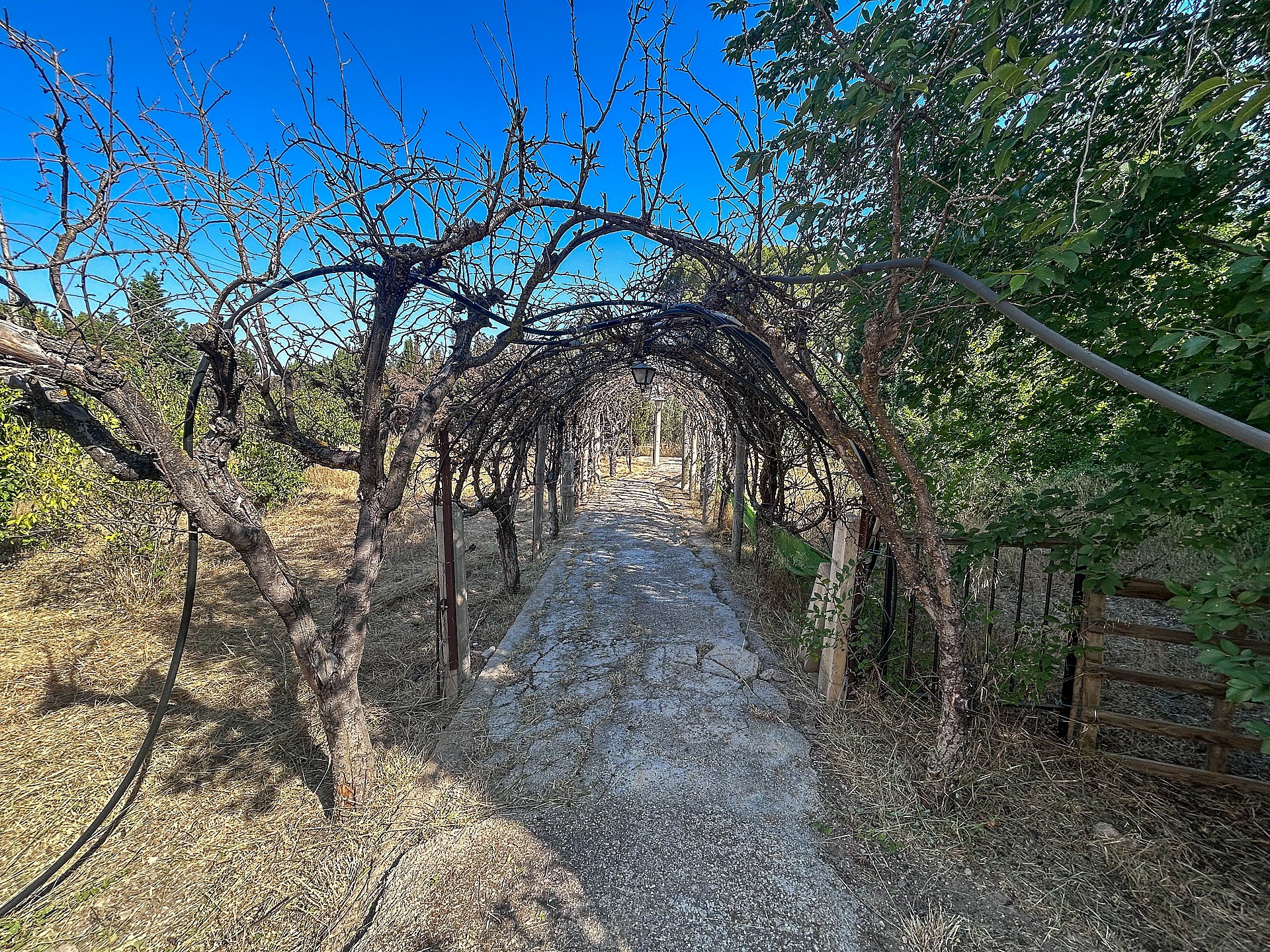 Resale - 4 Bedroom 2 Bathroom Country house in Sax -  - Alicante