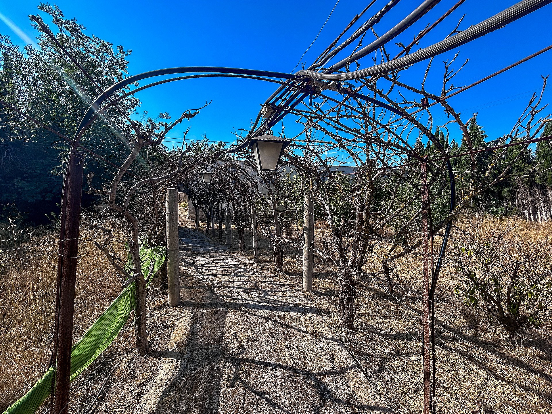 Resale - 4 Bedroom 2 Bathroom Country house in Sax -  - Alicante