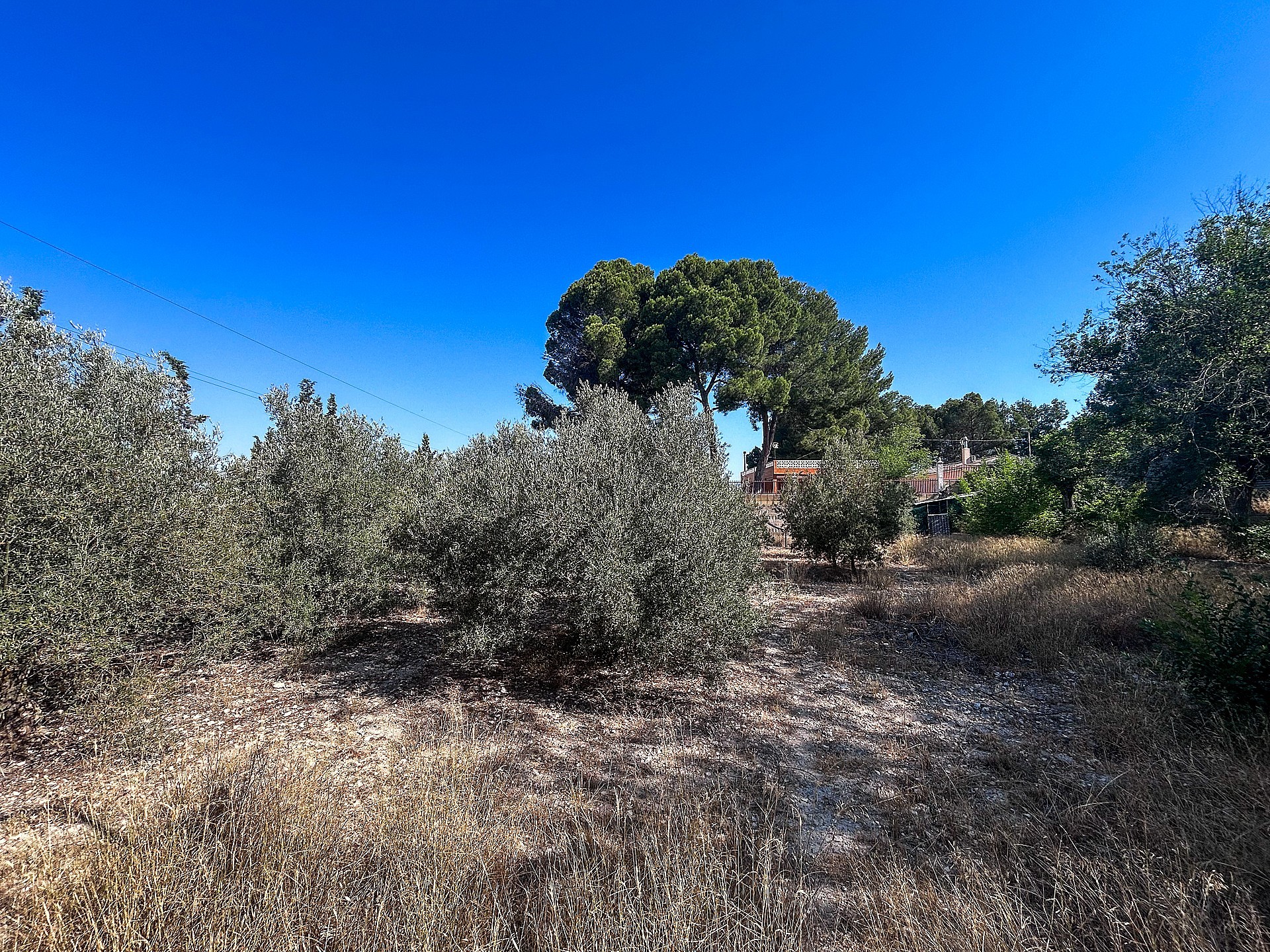 Resale - 4 Bedroom 2 Bathroom Country house in Sax -  - Alicante