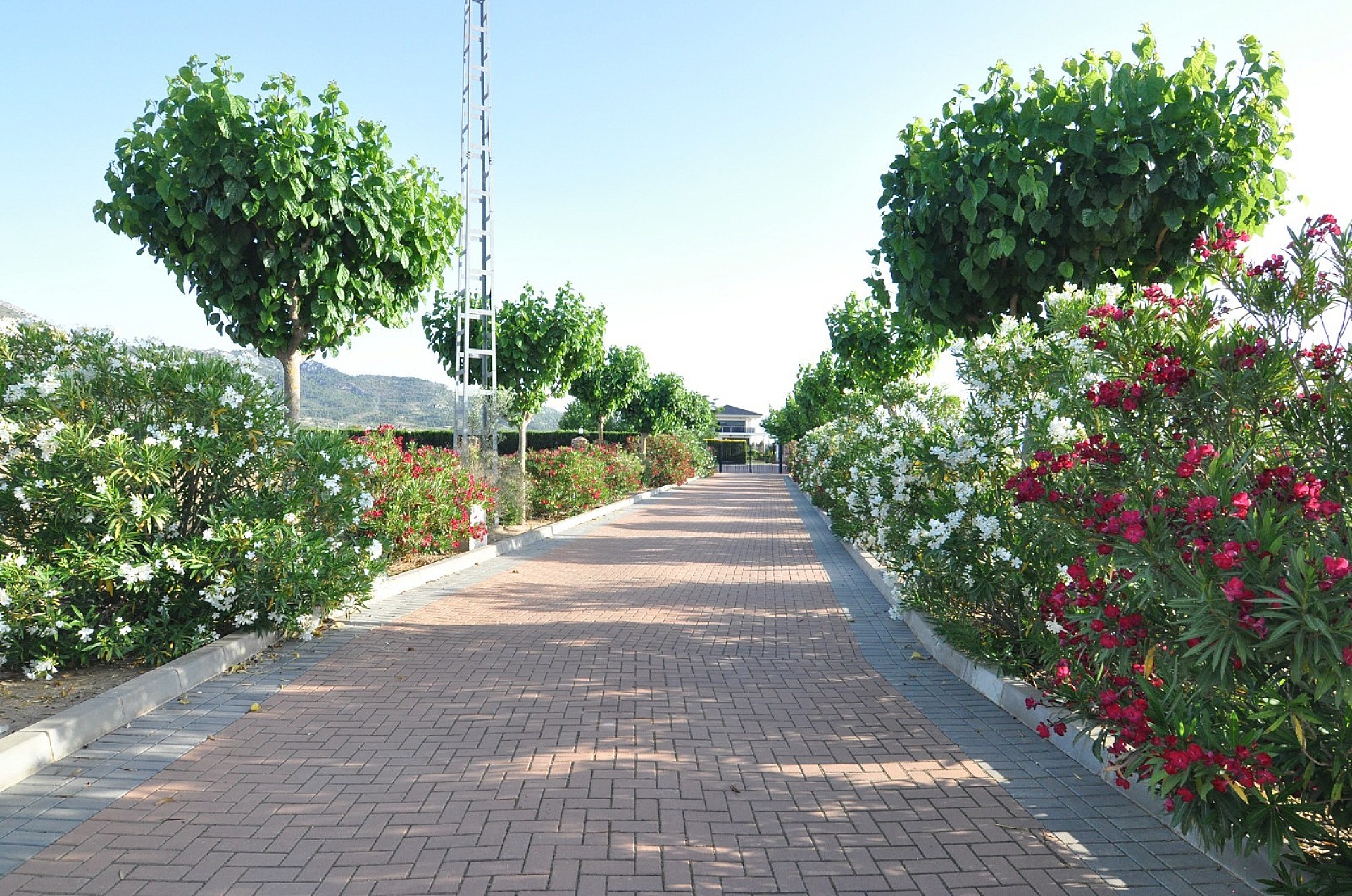 Resale - 4 Bedroom 2 Bathroom Villa in Villena -  - Alicante