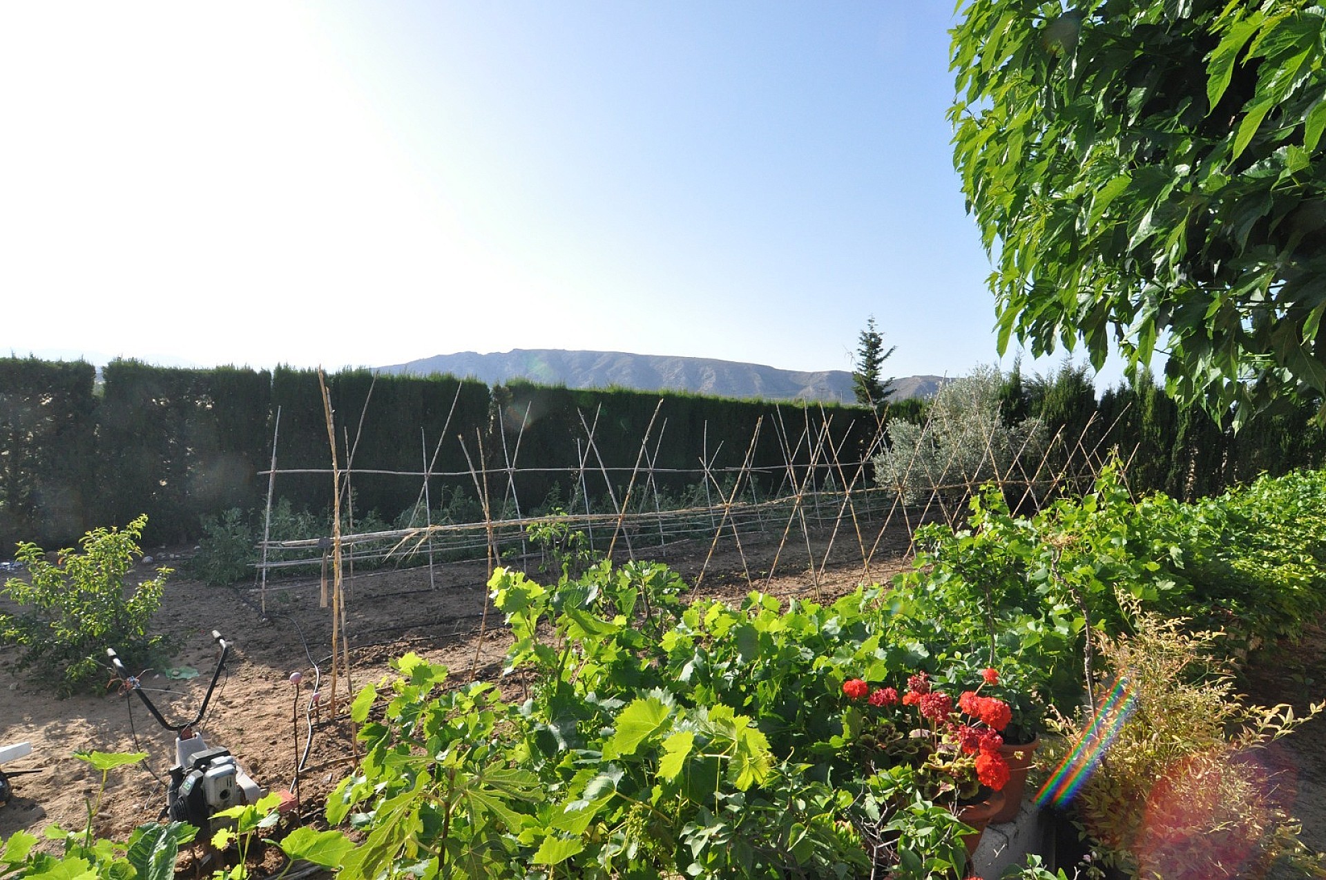 Resale - 4 Bedroom 2 Bathroom Villa in Villena -  - Alicante