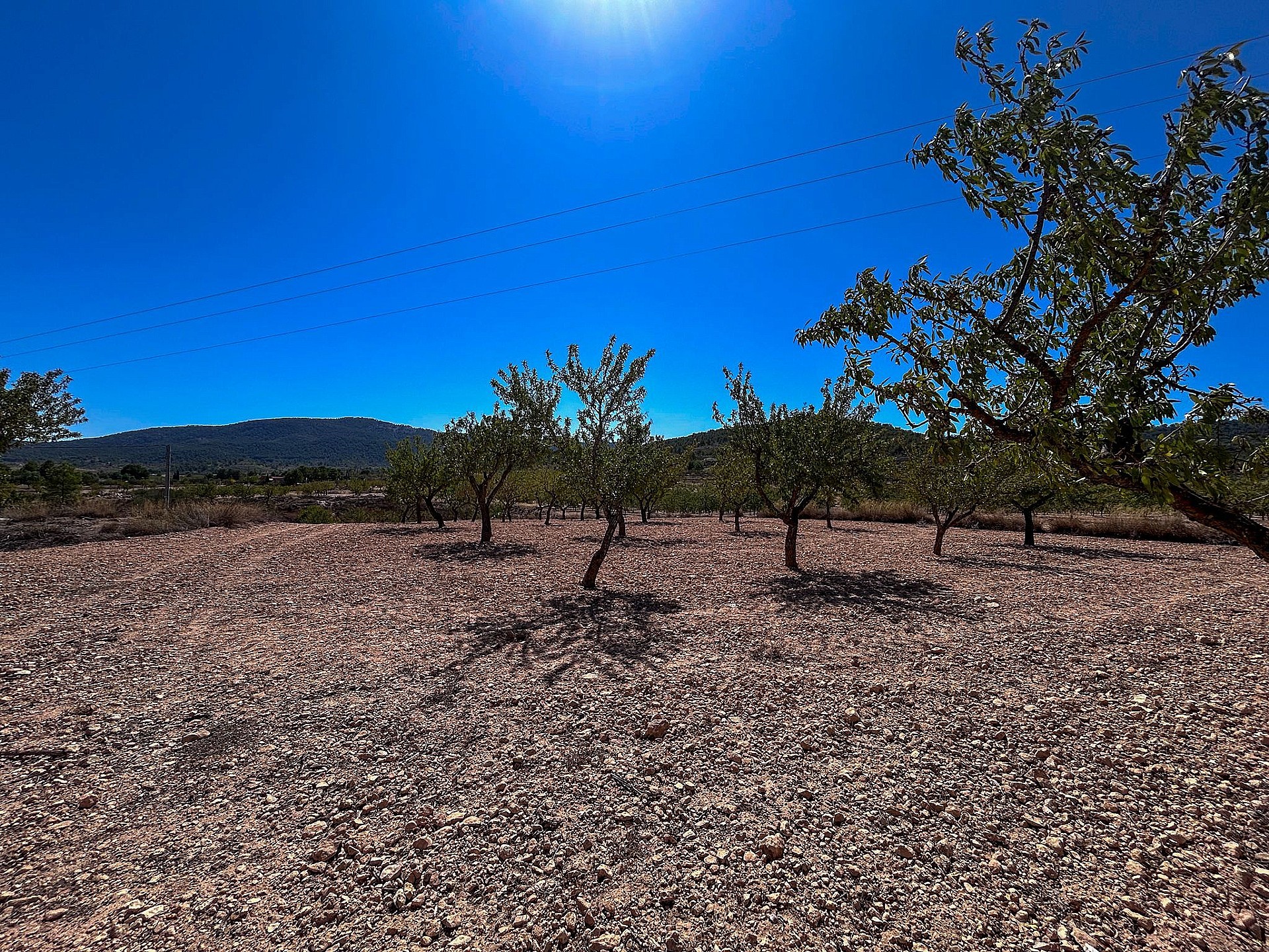 Resale - 3 Bedroom Country house in Monóvar -  - Alicante