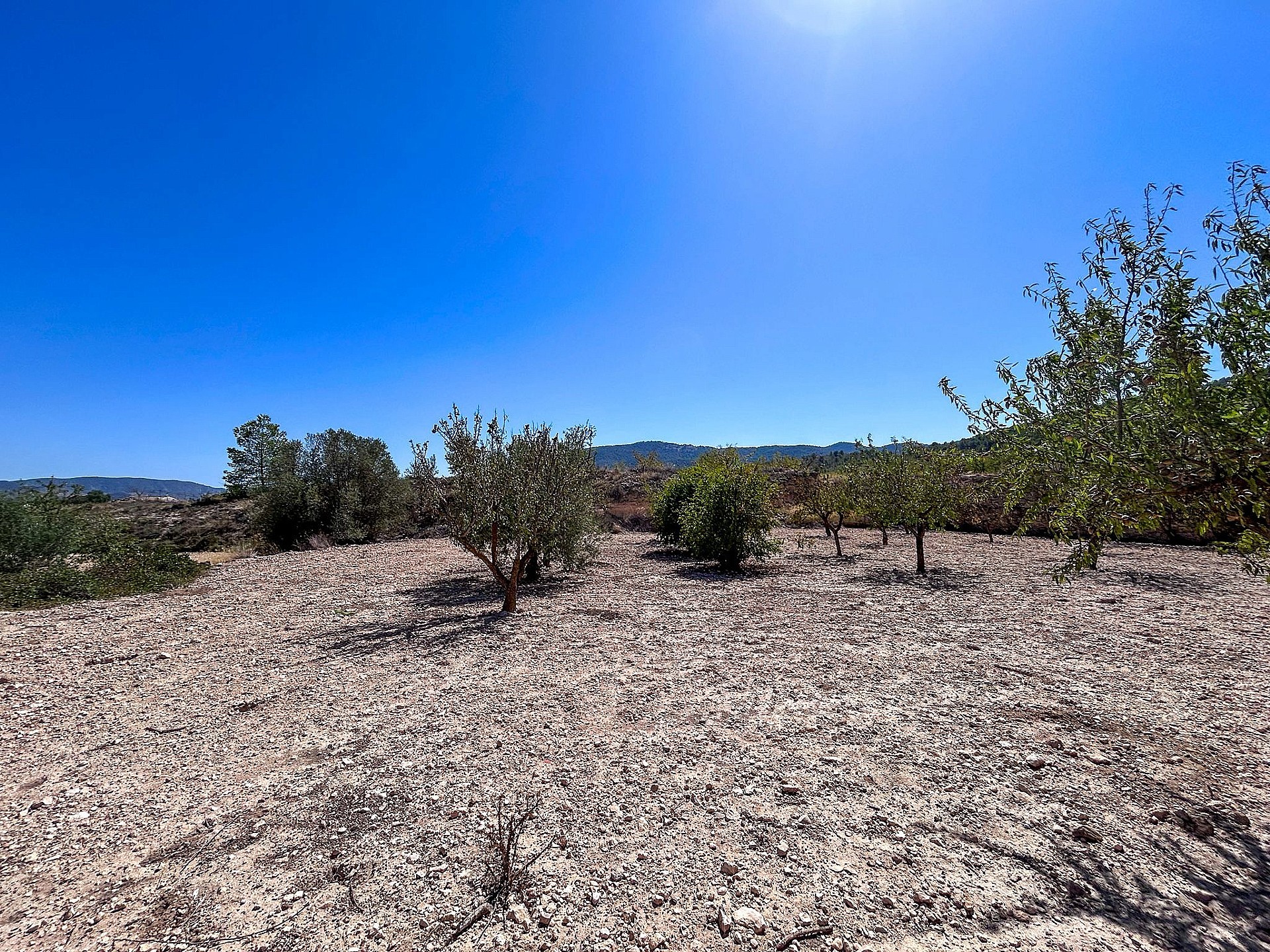 Resale - 3 Bedroom Country house in Monóvar -  - Alicante