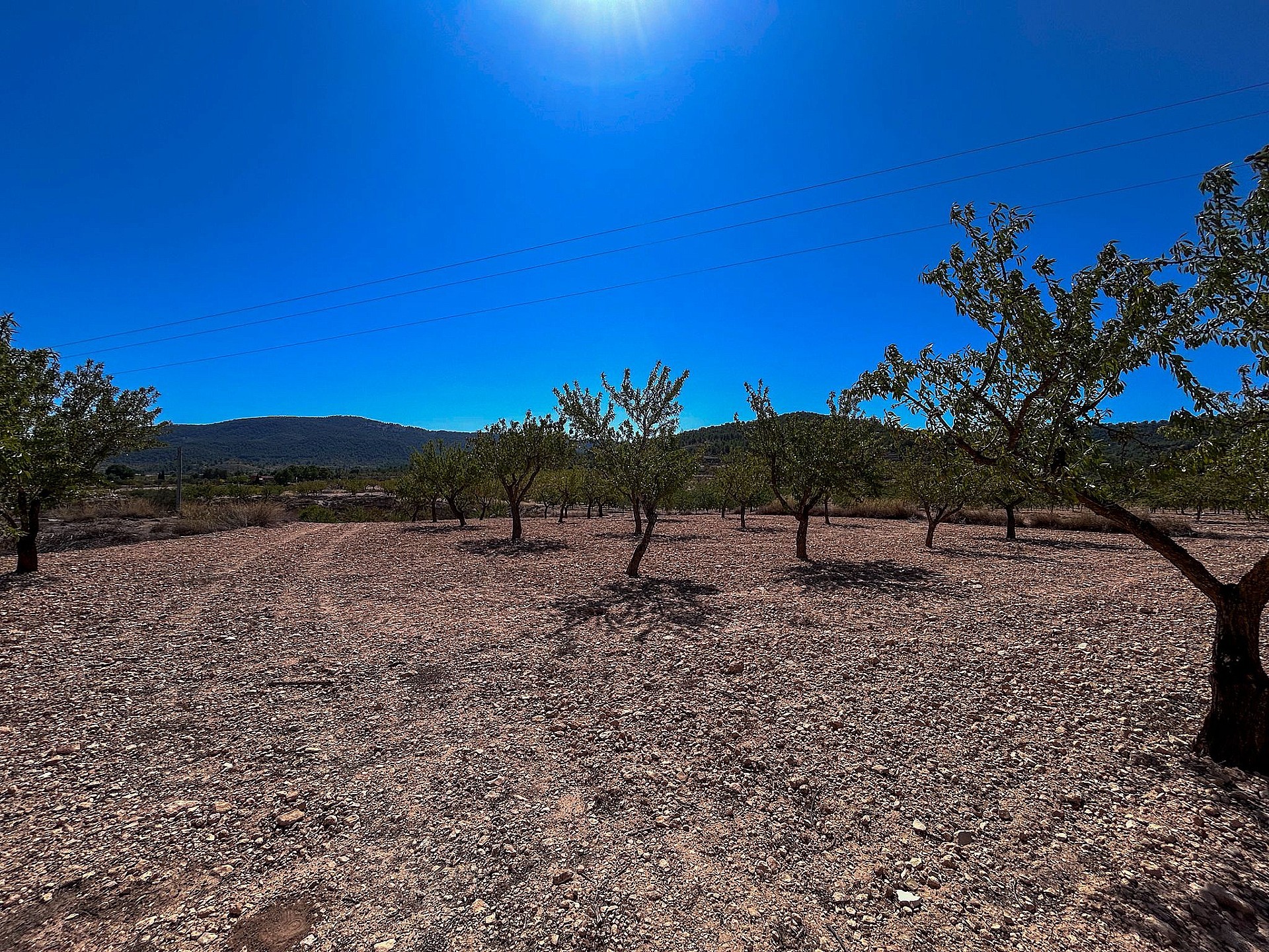 Resale - 3 Bedroom Country house in Monóvar -  - Alicante