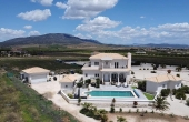 3-11898/4529, 4 Bedroom 5 Bathroom Villa in Pinoso