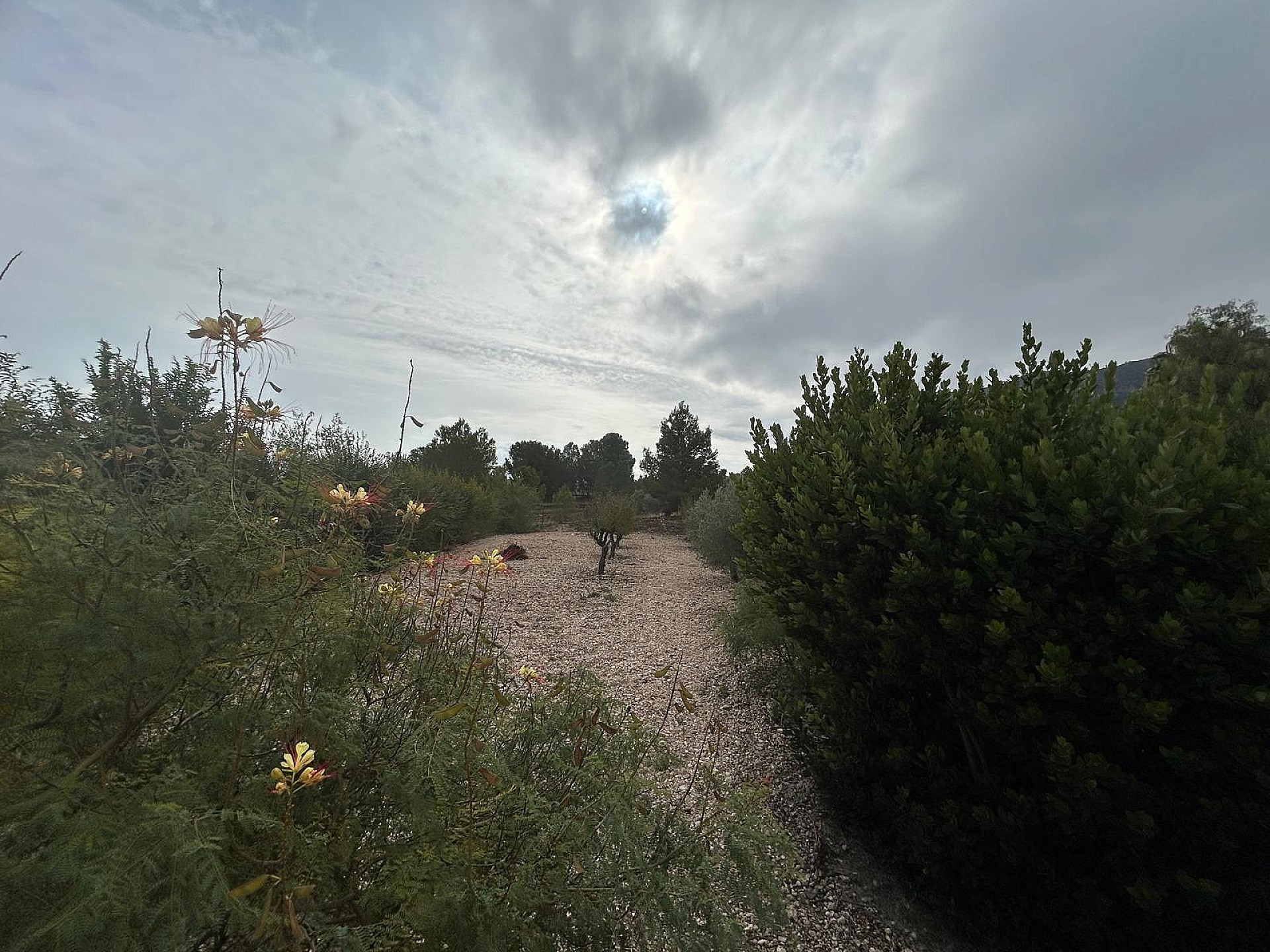 Resale - 5 Bedroom 3 Bathroom Villa in Sax -  - Alicante