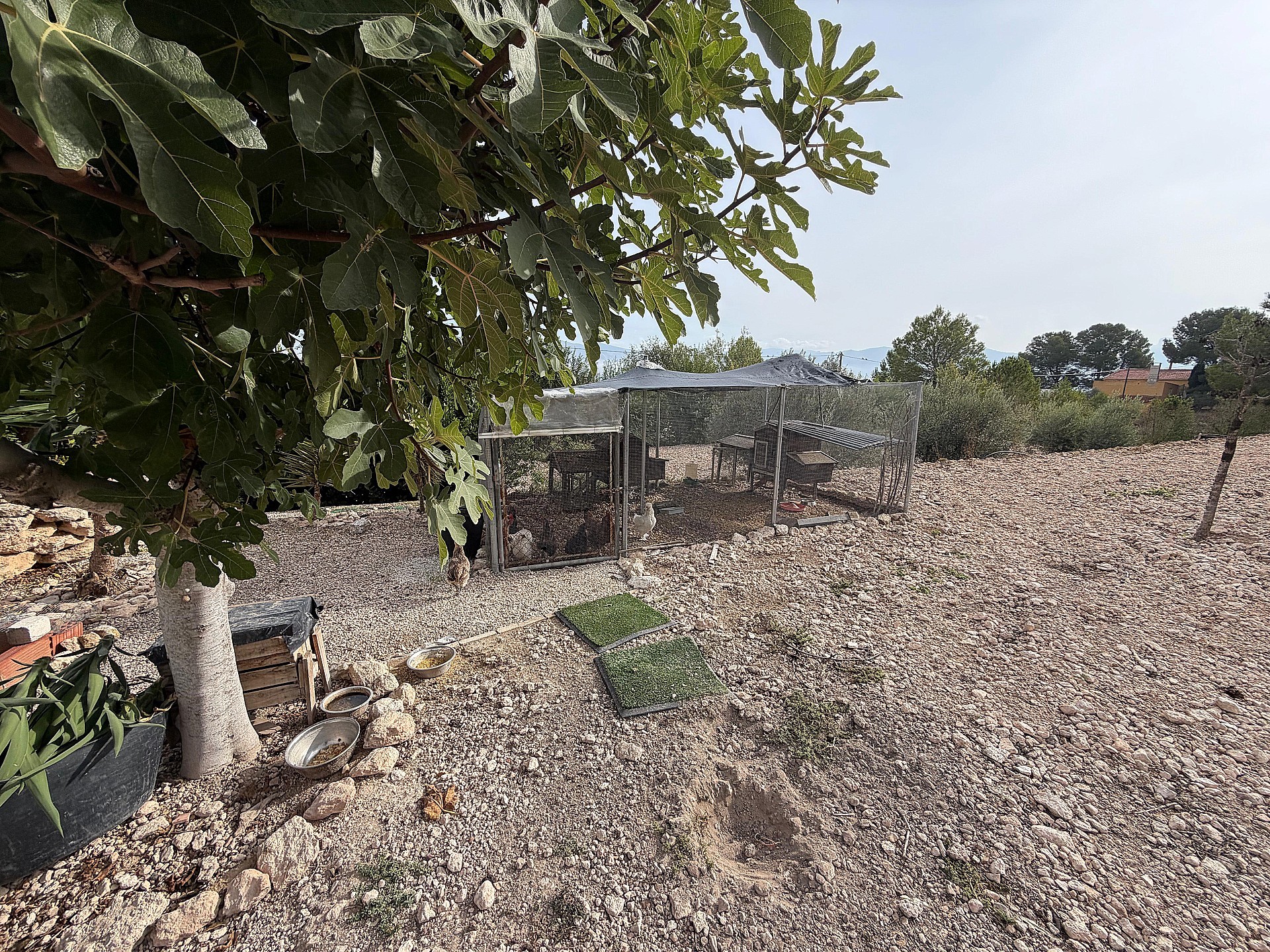 Resale - 5 Bedroom 3 Bathroom Villa in Sax -  - Alicante