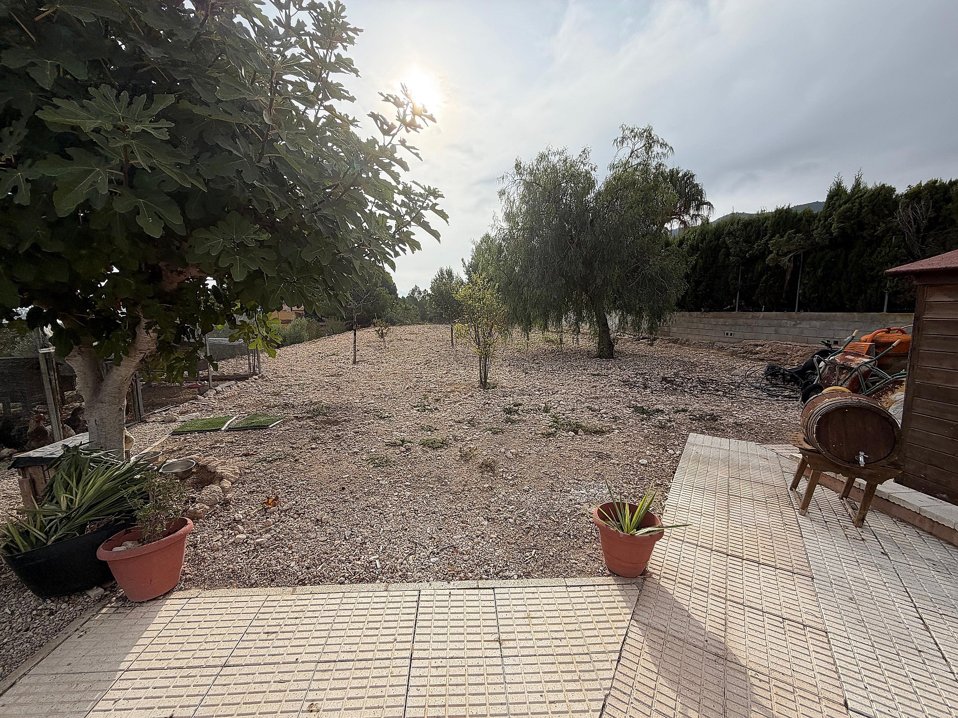 Resale - 5 Bedroom 3 Bathroom Villa in Sax -  - Alicante