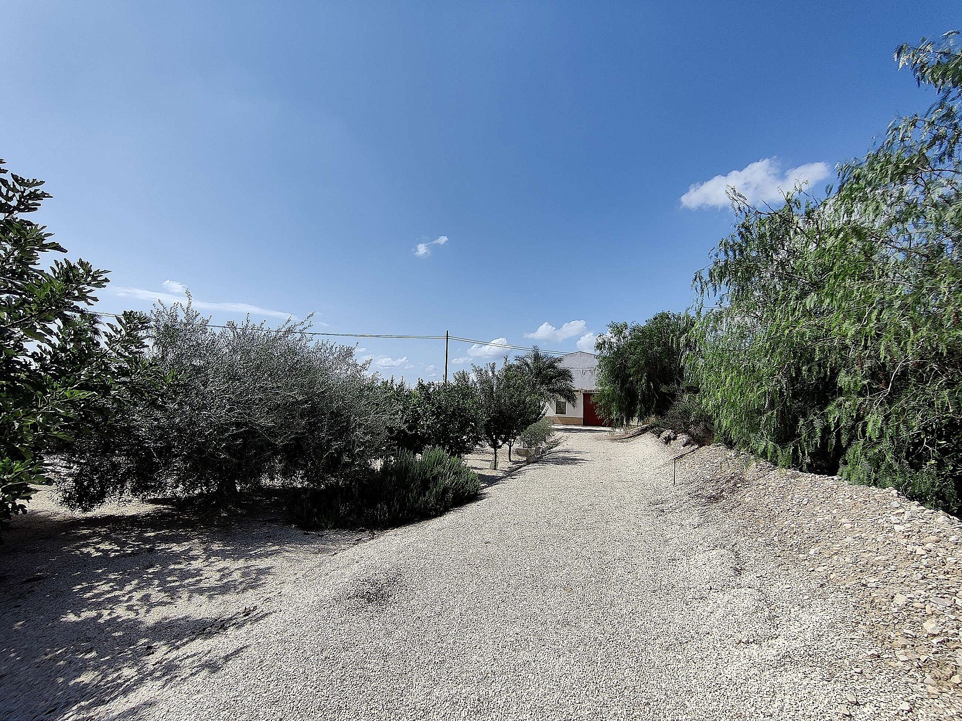 Resale - 3 Bedroom 2 Bathroom Villa in Crevillente -  - Alicante