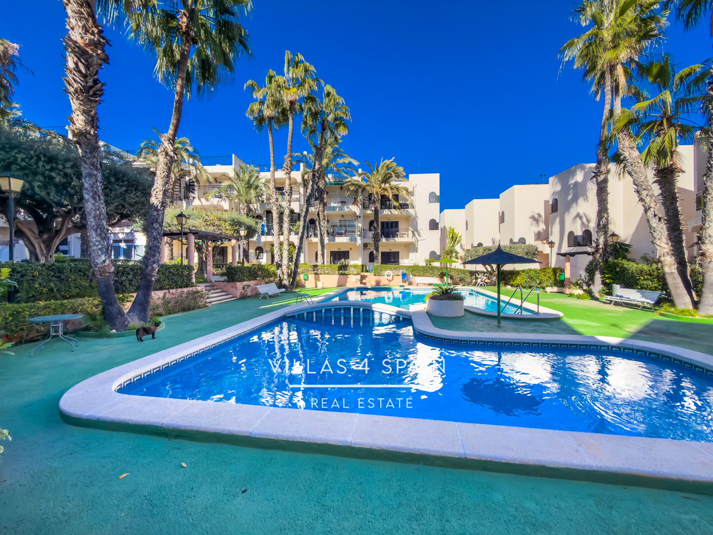 Resale - Seaview 2 bed 1 bath Renovated groundfloor apartment in La Mata Torrevieja - Carr. del Torrejón - Alicante