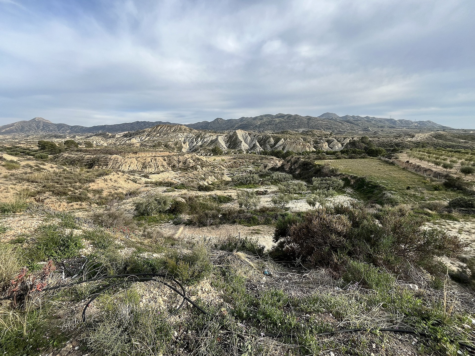 Resale - 4 Bedroom 1 Bathroom Cave House in Abanilla -  - Murcia
