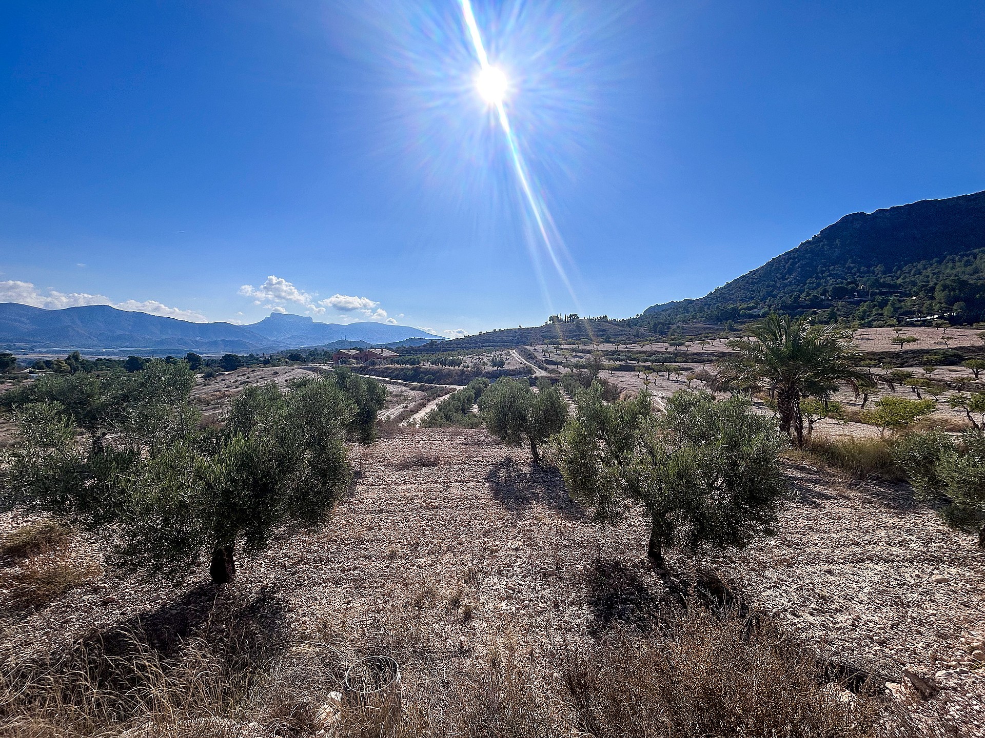 Resale - 2 Bedroom 1 Bathroom Finca in Elda -  - Alicante