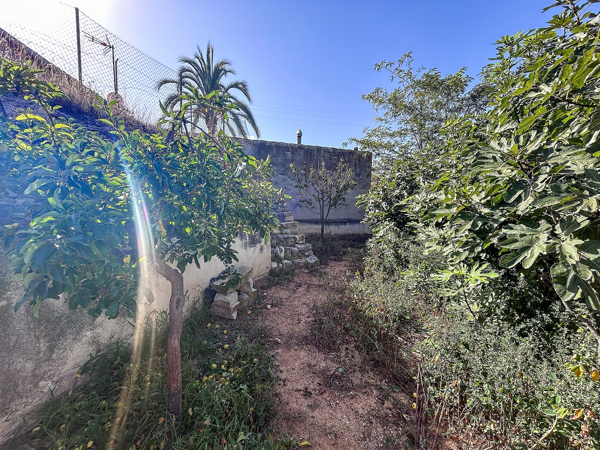 Resale - 4 Bedroom 1 Bathroom Cave House in Casas del Señor -  - Alicante