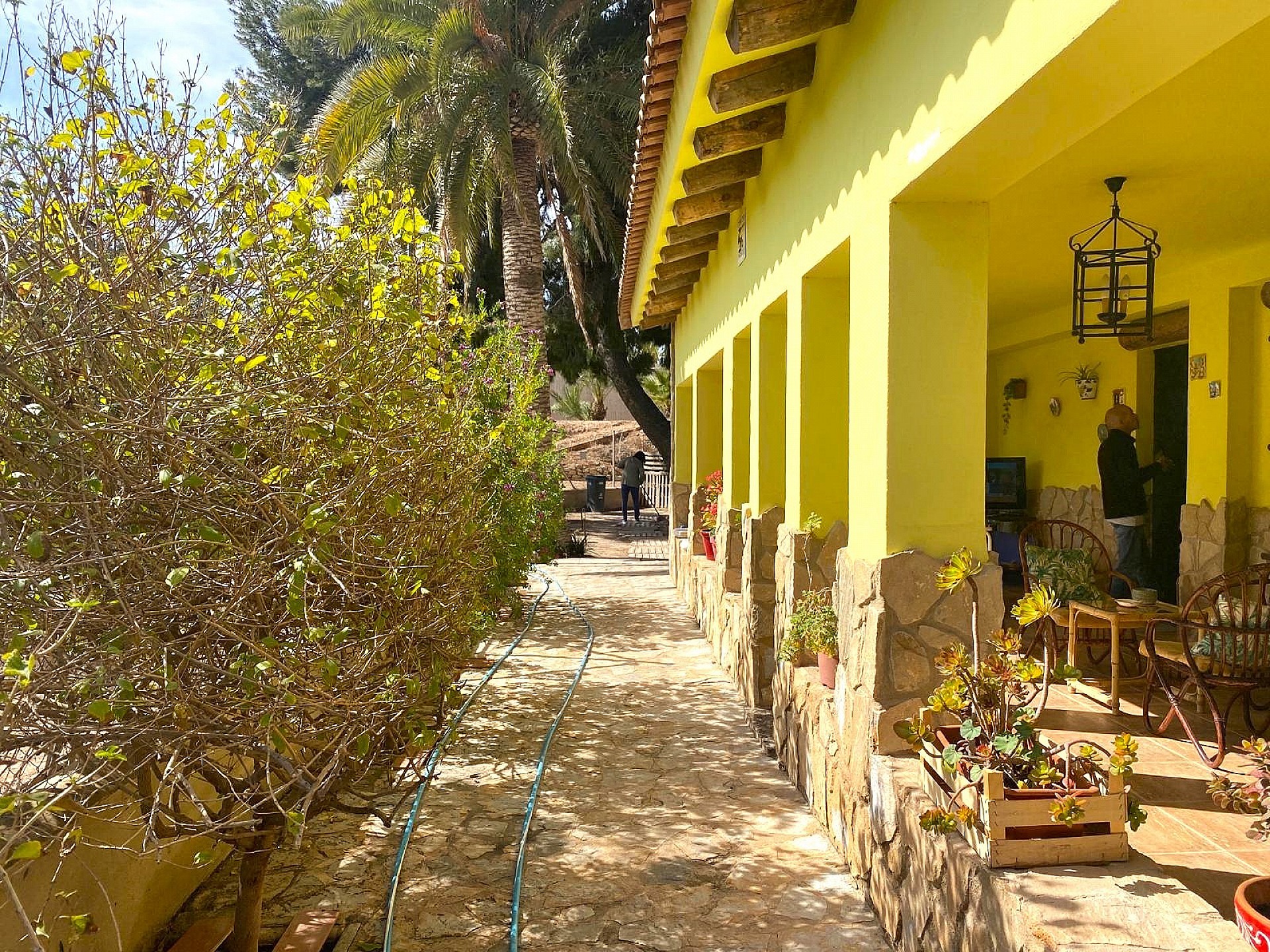 Resale - 3 Bedroom 3 Bathroom Villa in Novelda -  - Alicante