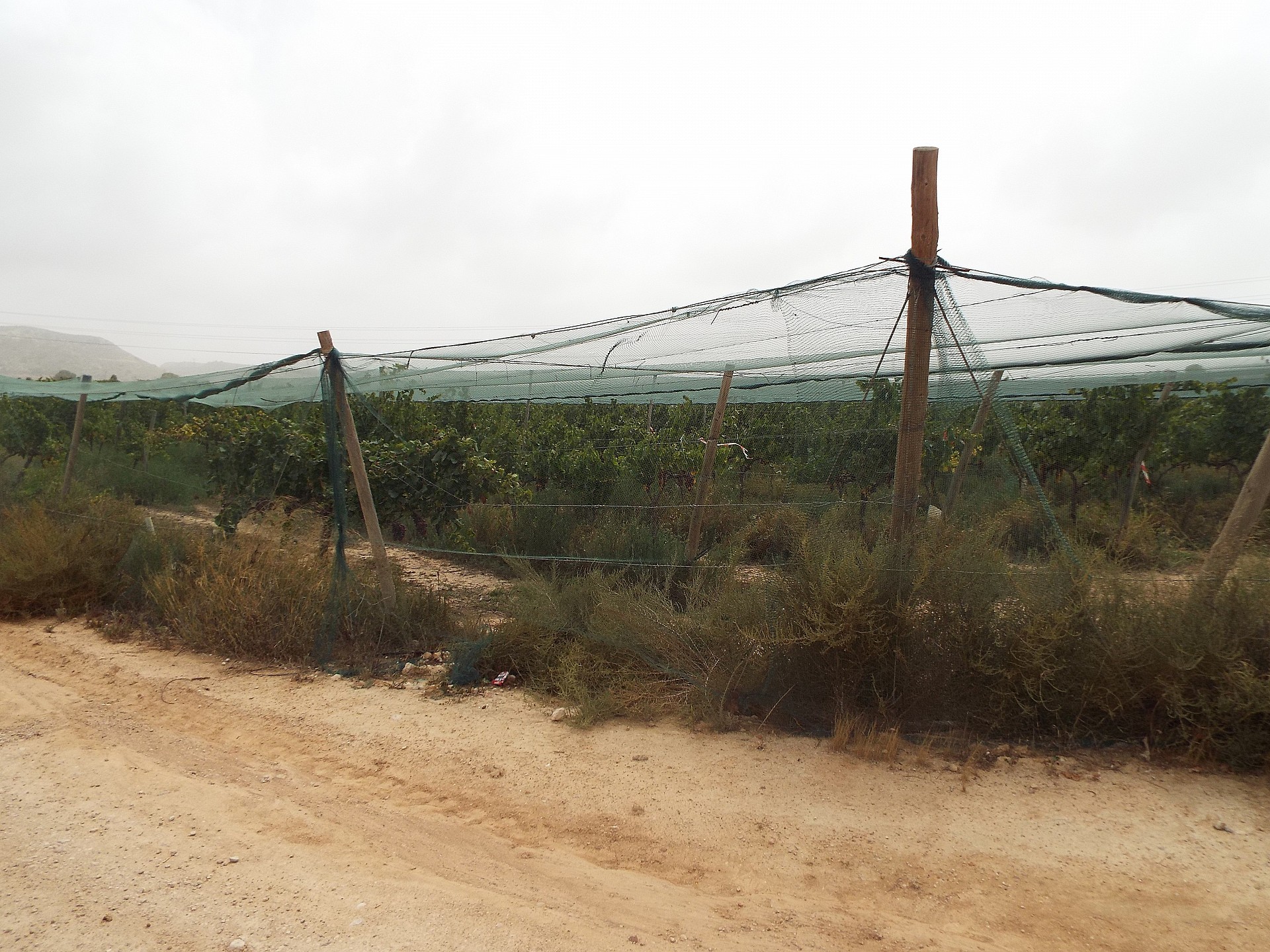 Resale - Land in Monforte Del Cid -  - Alicante