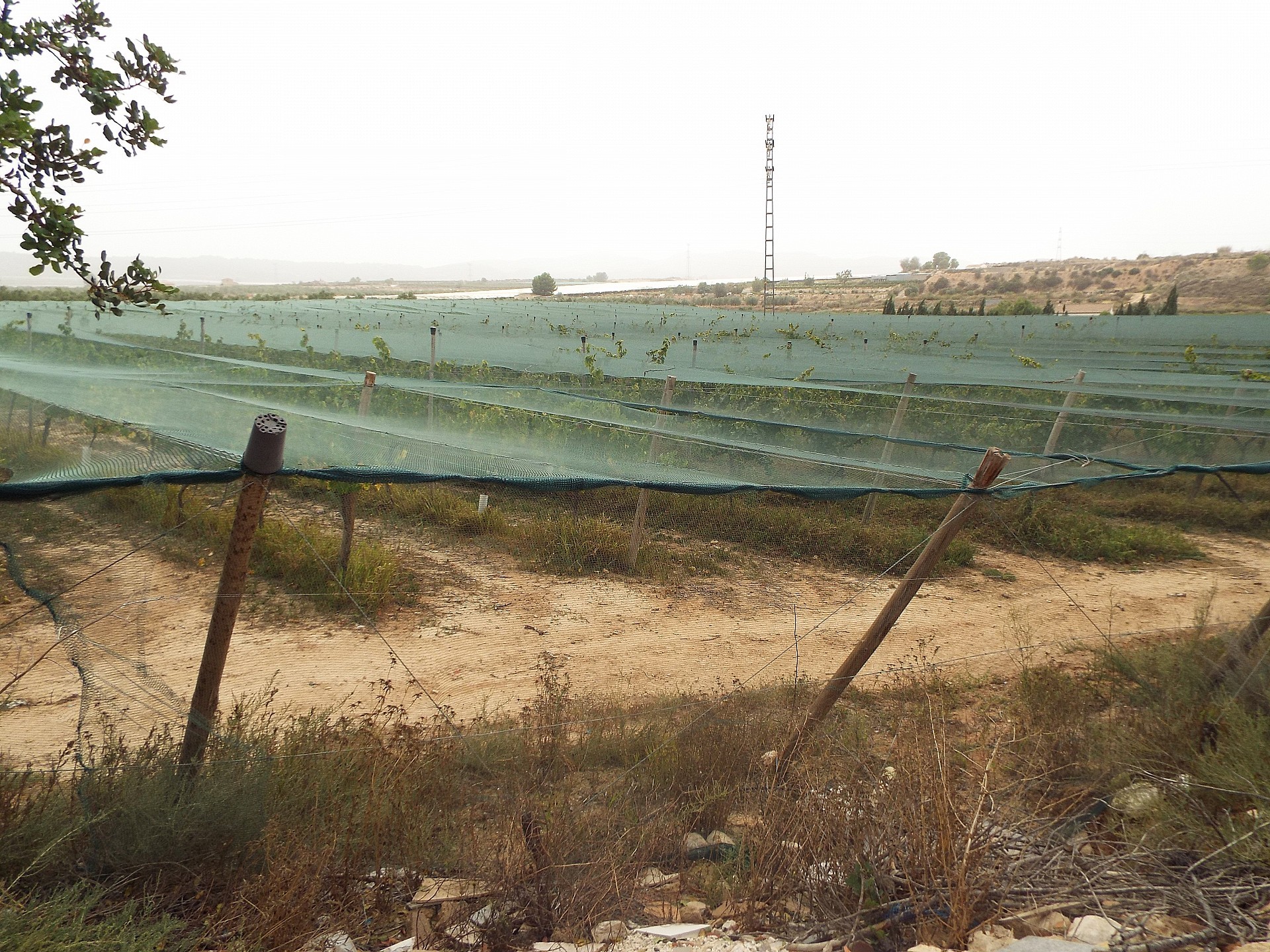 Resale - Land in Monforte Del Cid -  - Alicante