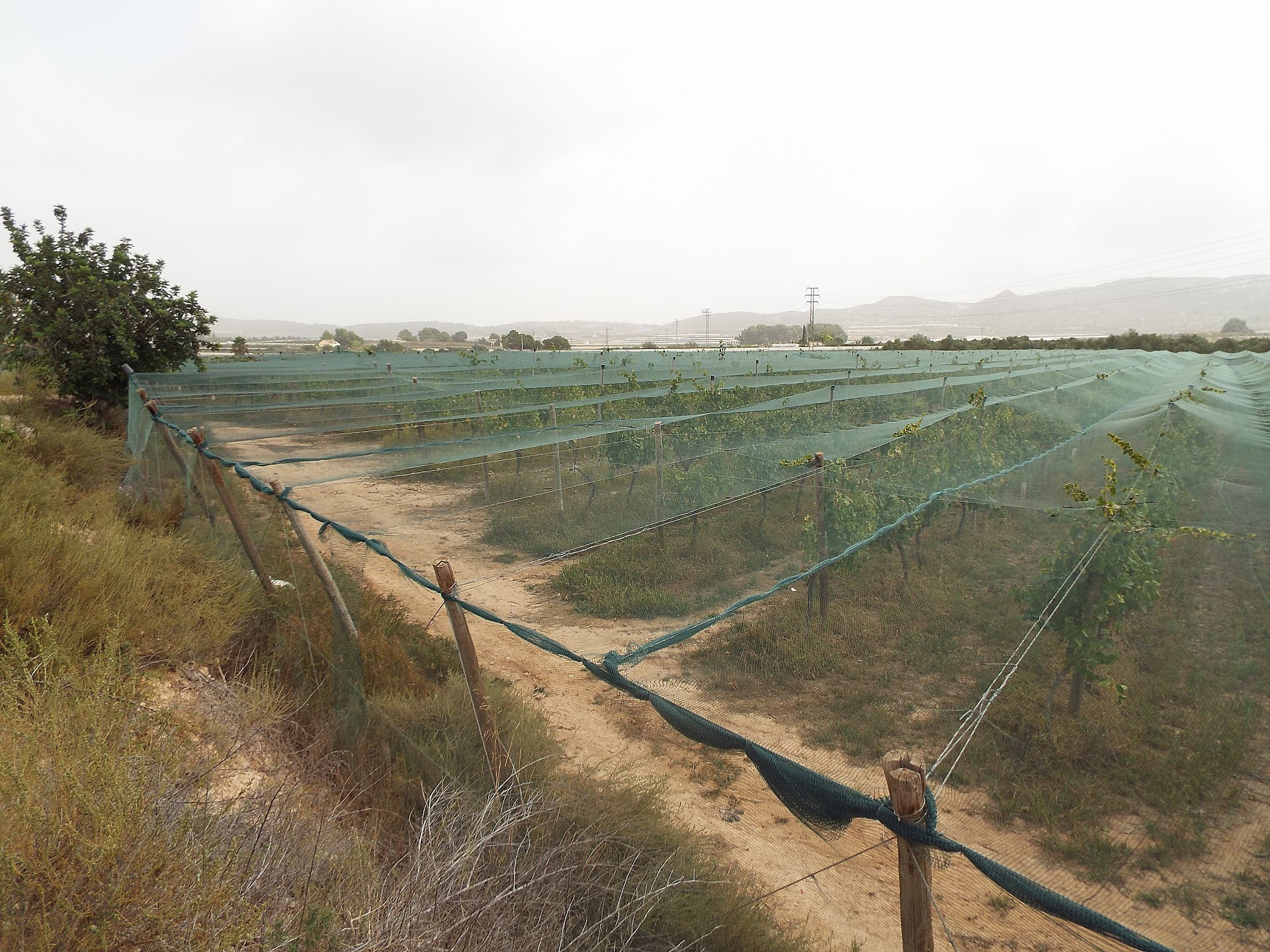 Resale - Land in Monforte Del Cid -  - Alicante