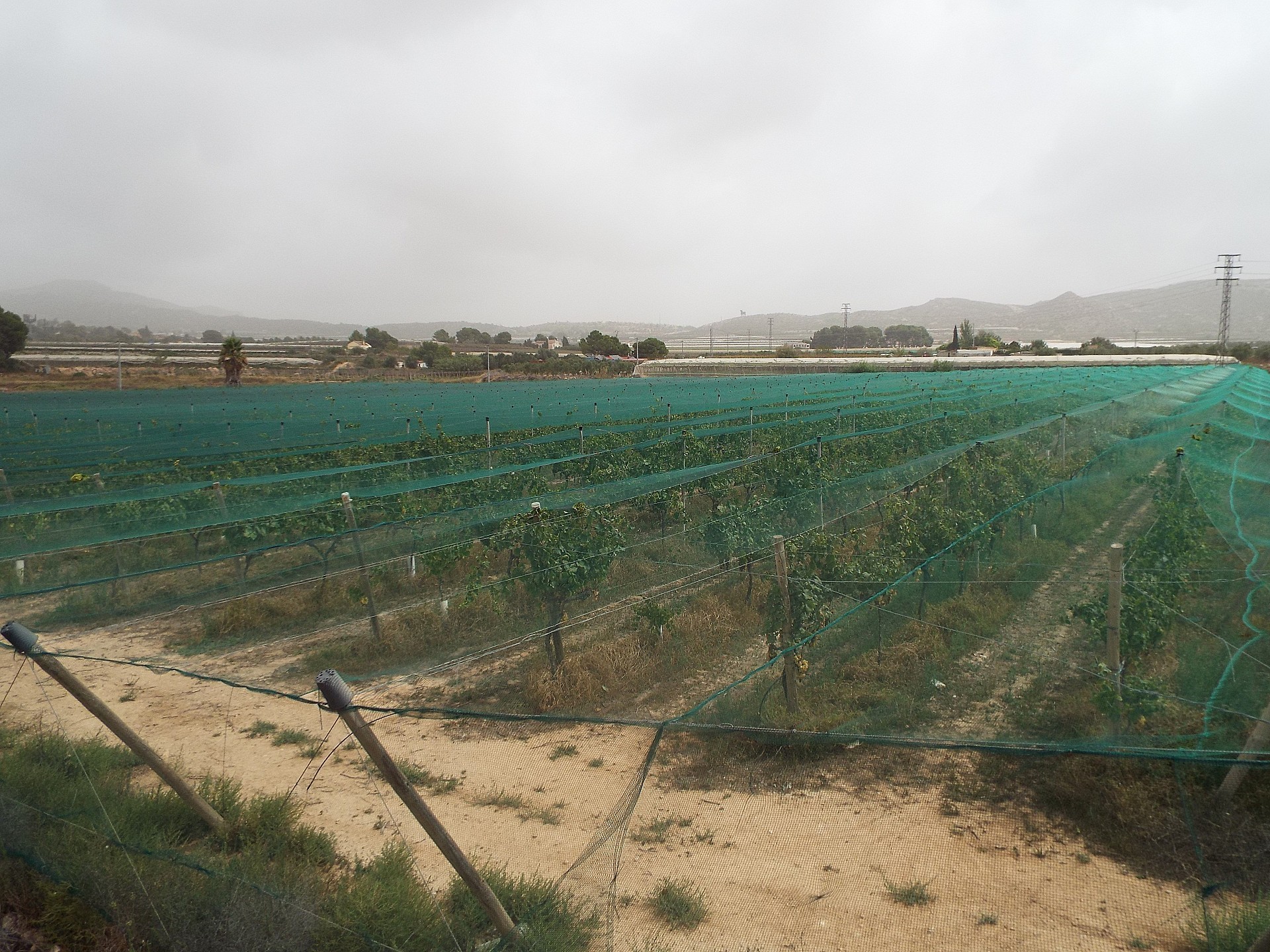 Resale - Land in Monforte Del Cid -  - Alicante