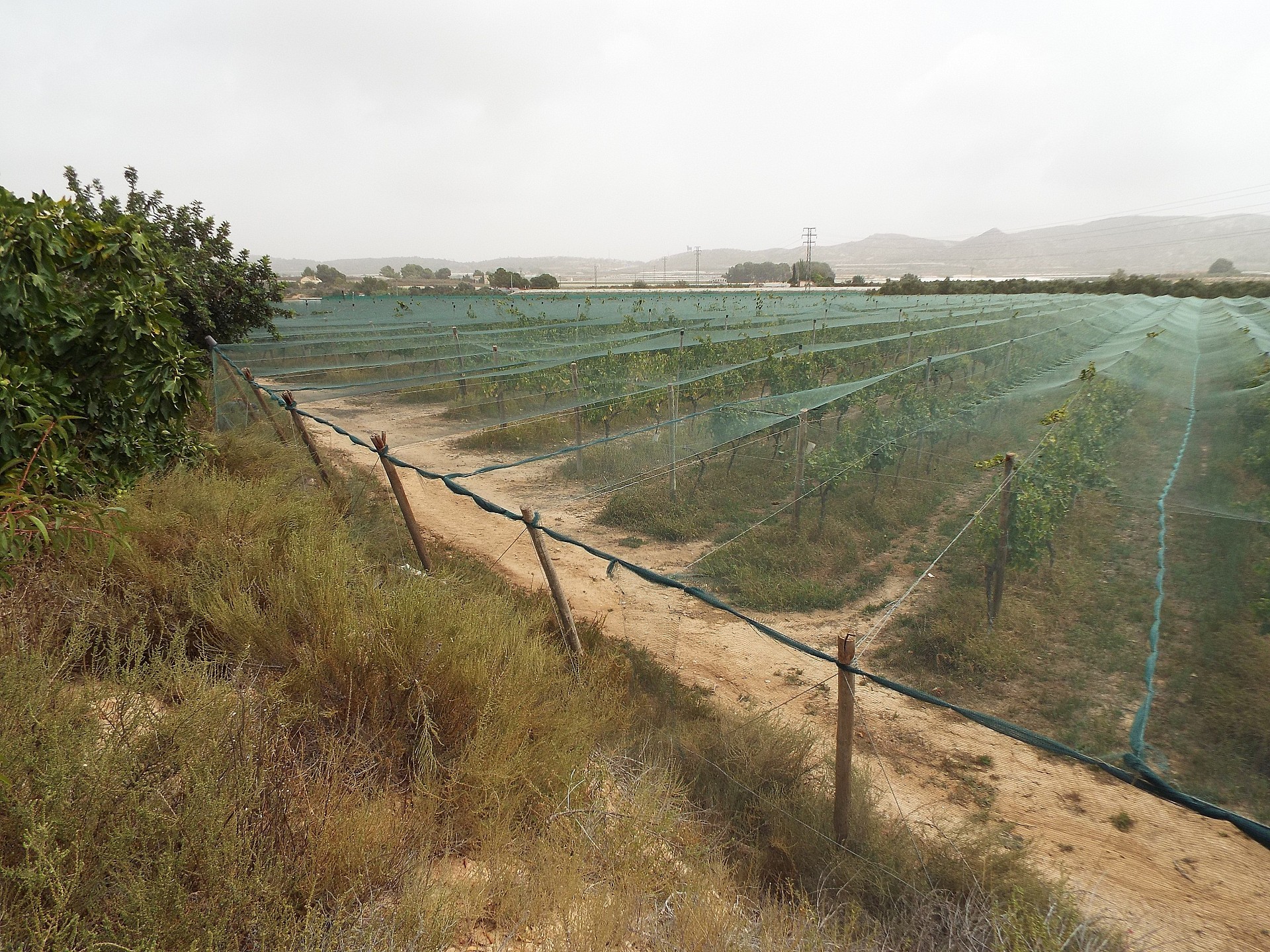 Resale - Land in Monforte Del Cid -  - Alicante