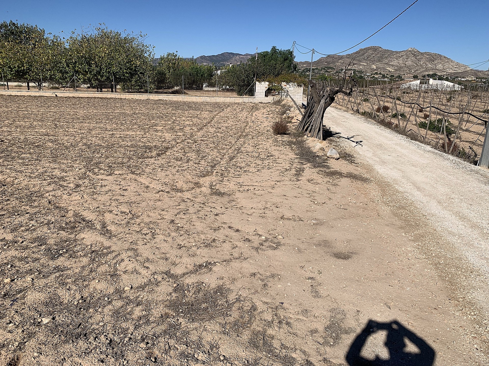 Resale - 2 Bedroom 1 Bathroom Restoration Project in Aspe - , Aspe, Alicante, Spain - Alicante