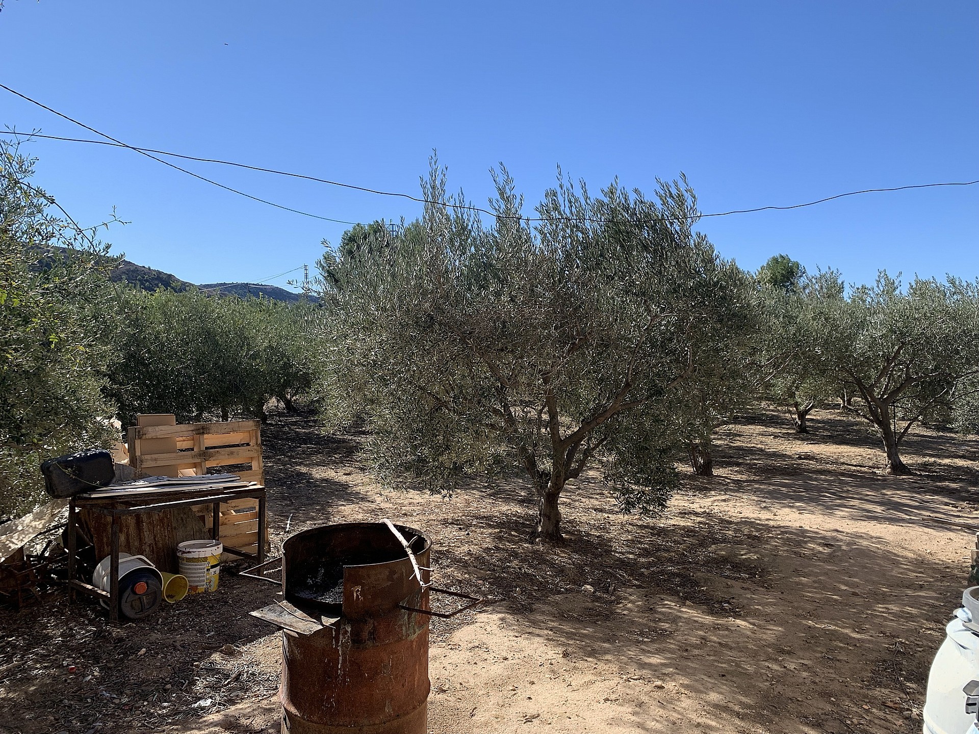 Resale - 2 Bedroom 1 Bathroom Restoration Project in Aspe - , Aspe, Alicante, Spain - Alicante