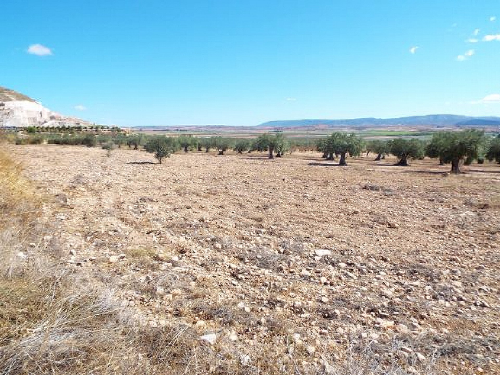 Resale - Land in Caudete -  - Albacete
