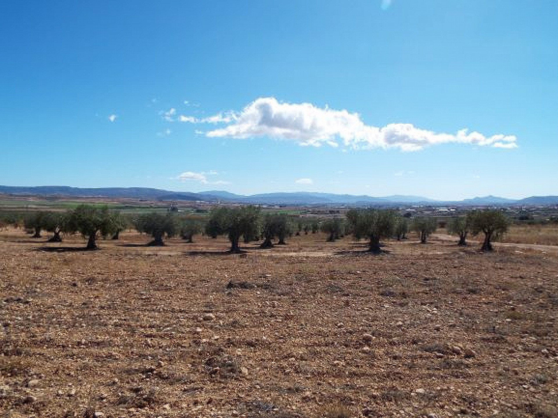 Resale - Land in Caudete -  - Albacete