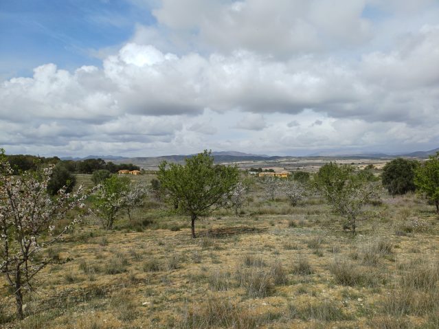 Resale - 3 Bedroom Villa in La Zarza - , La Zarza, Murcia, Spain - Murcia