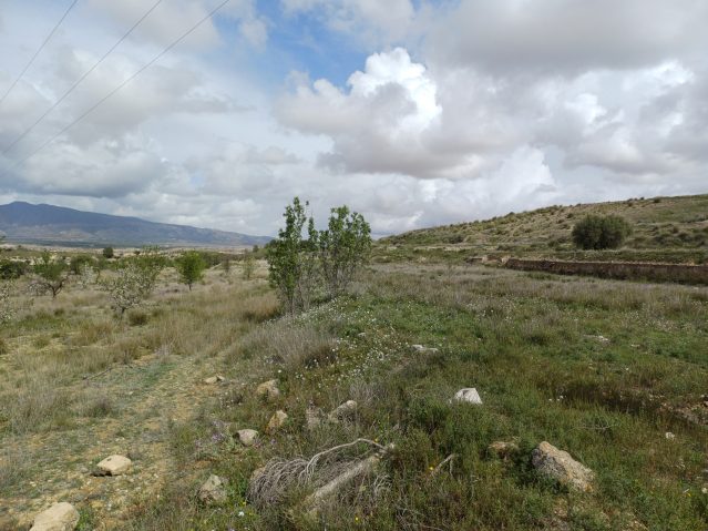 Resale - 3 Bedroom Villa in La Zarza - , La Zarza, Murcia, Spain - Murcia