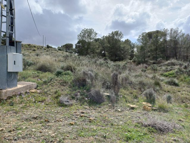 Resale - 3 Bedroom Villa in La Zarza - , La Zarza, Murcia, Spain - Murcia