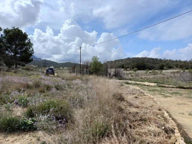 Resale - 3 Bedroom Villa in La Zarza - , La Zarza, Murcia, Spain - Murcia