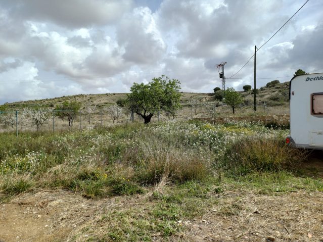 Resale - 3 Bedroom Villa in La Zarza - , La Zarza, Murcia, Spain - Murcia