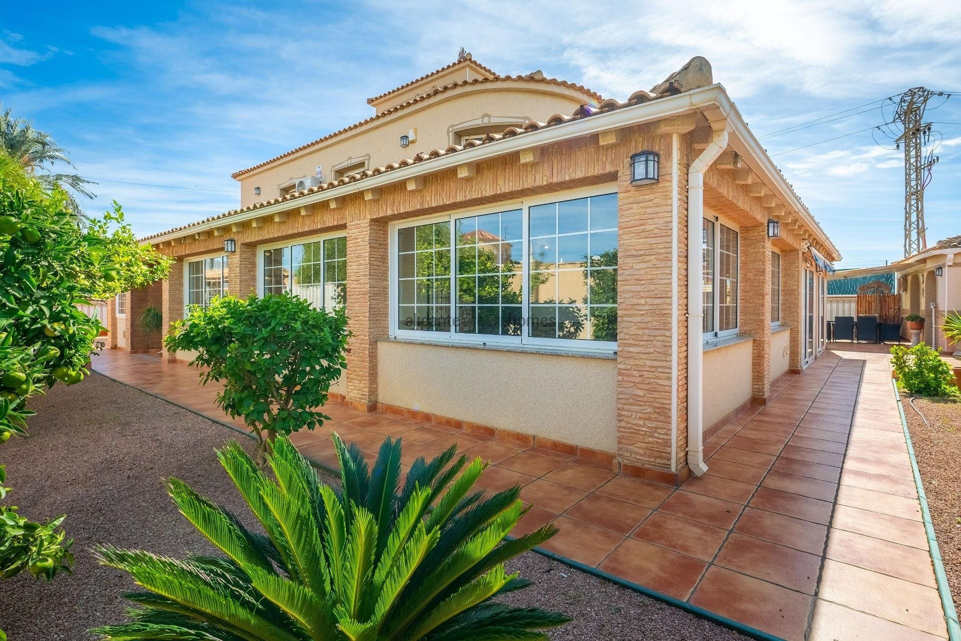 Resale - 6 Bedroom 3 Bathroom Villa in Torrevieja -  - Alicante