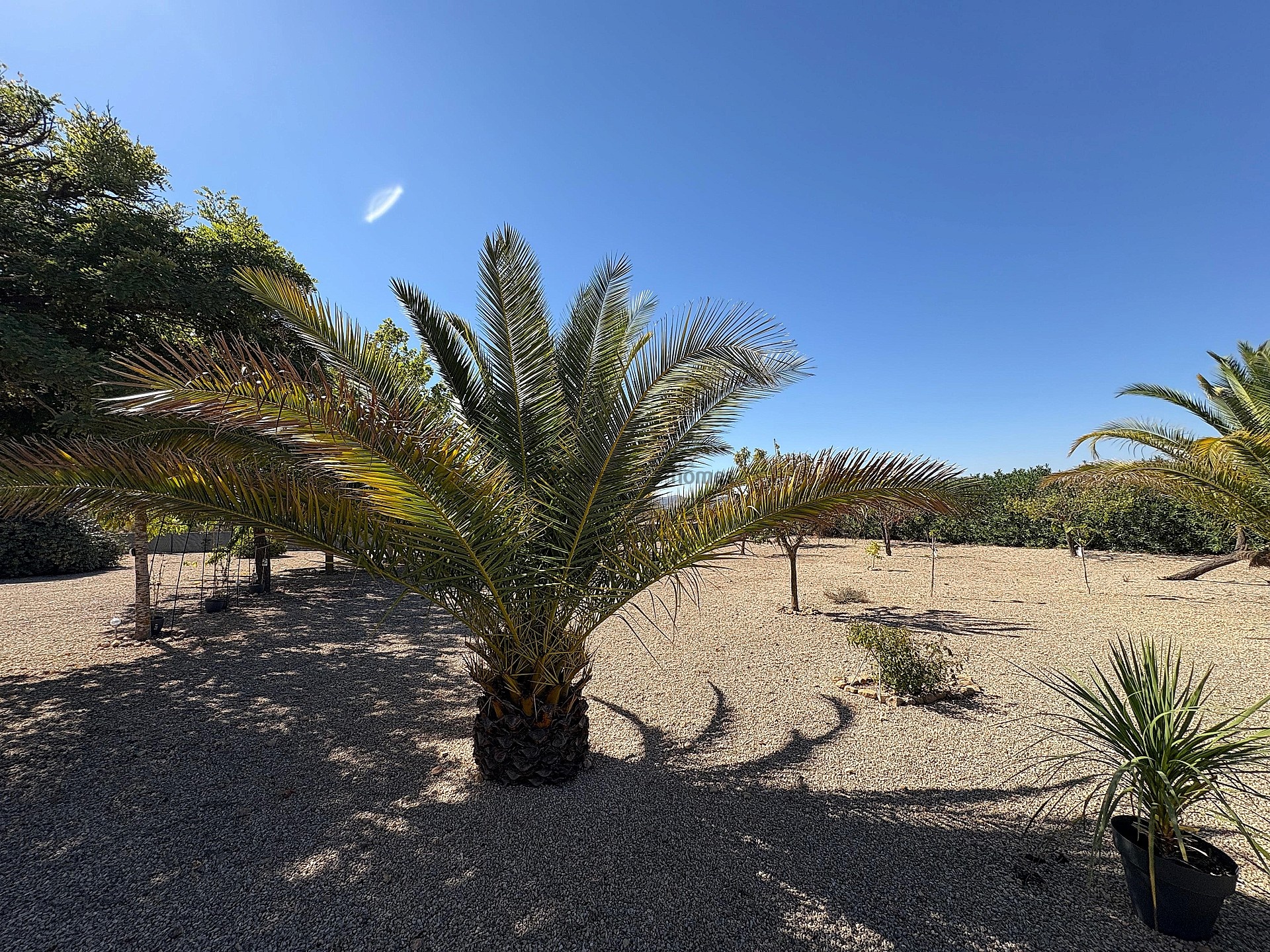 Sold - 3 Bedroom 2 Bathroom Villa in Biar -  - Alicante