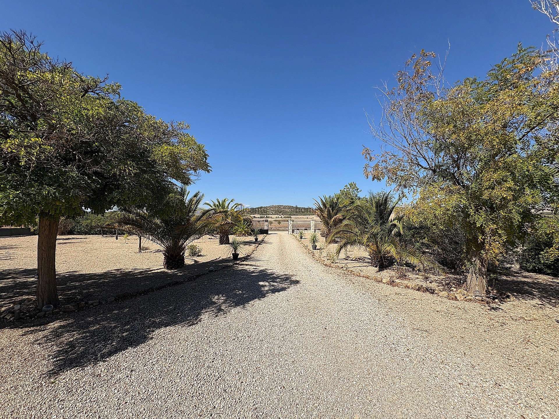 Sold - 3 Bedroom 2 Bathroom Villa in Biar -  - Alicante