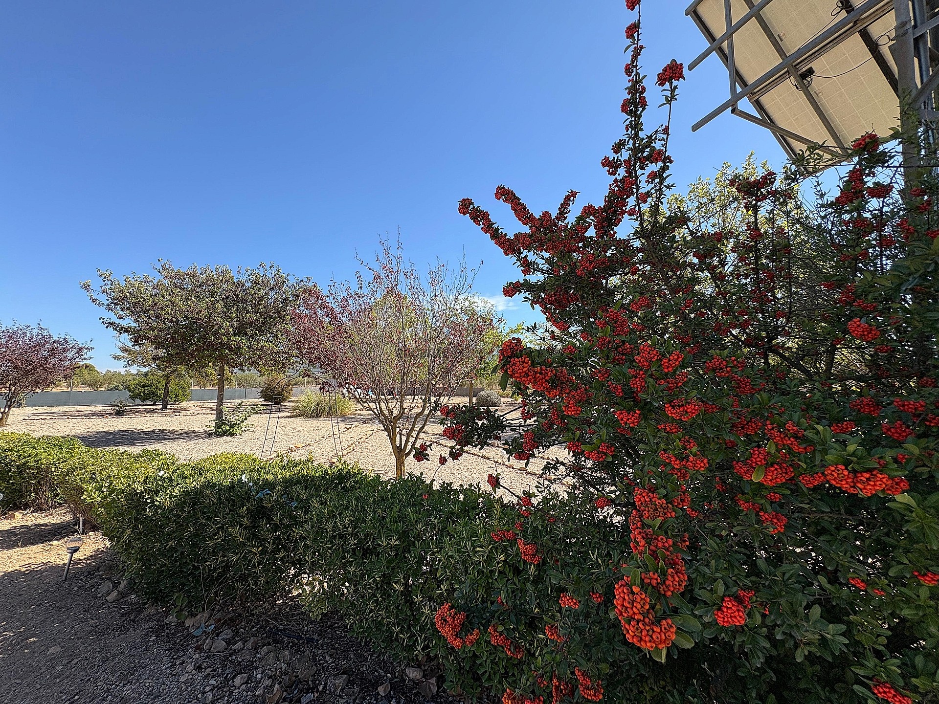 Sold - 3 Bedroom 2 Bathroom Villa in Biar -  - Alicante