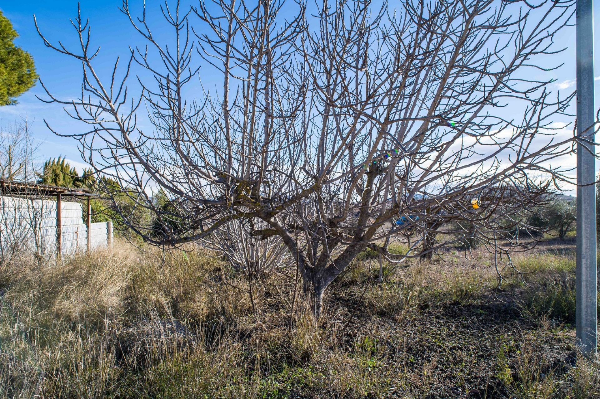 Resale - 5 Bedroom 4 Bathroom Country house in Pinoso -  - Alicante