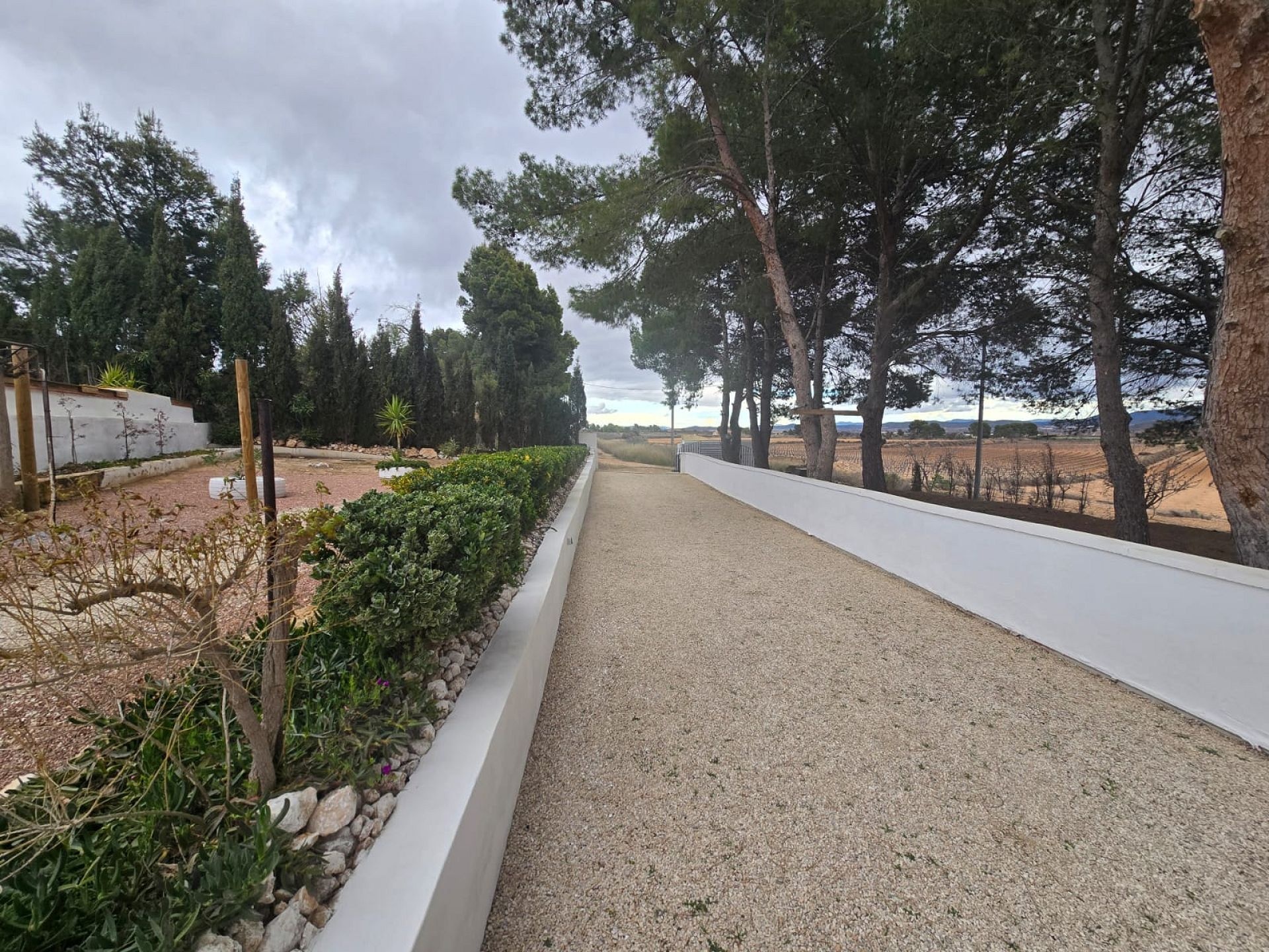 Resale - 4 Bedroom 2 Bathroom Country house in Yecla -  - Murcia