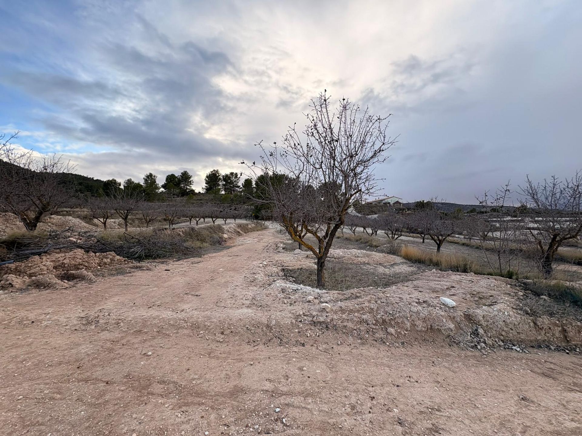 Resale - 3 Bedroom 2 Bathroom Villa in Pinoso -  - Alicante