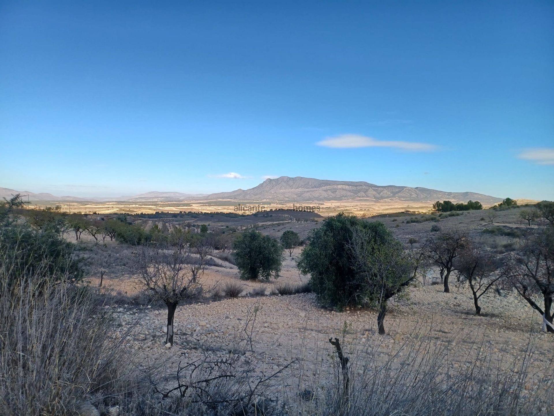 Resale - 3 Bedroom 1 Bathroom Country house in La Zarza -  - Murcia
