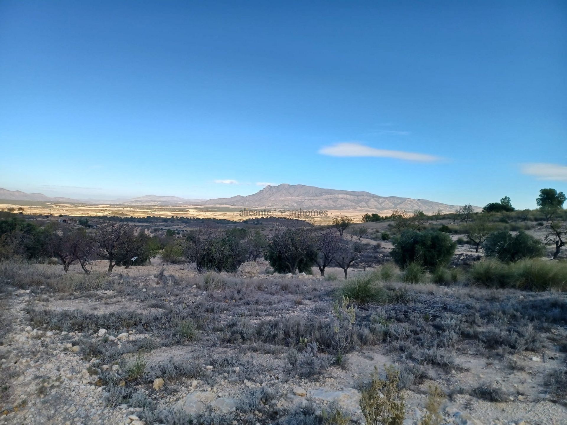 Resale - 3 Bedroom 1 Bathroom Country house in La Zarza -  - Murcia