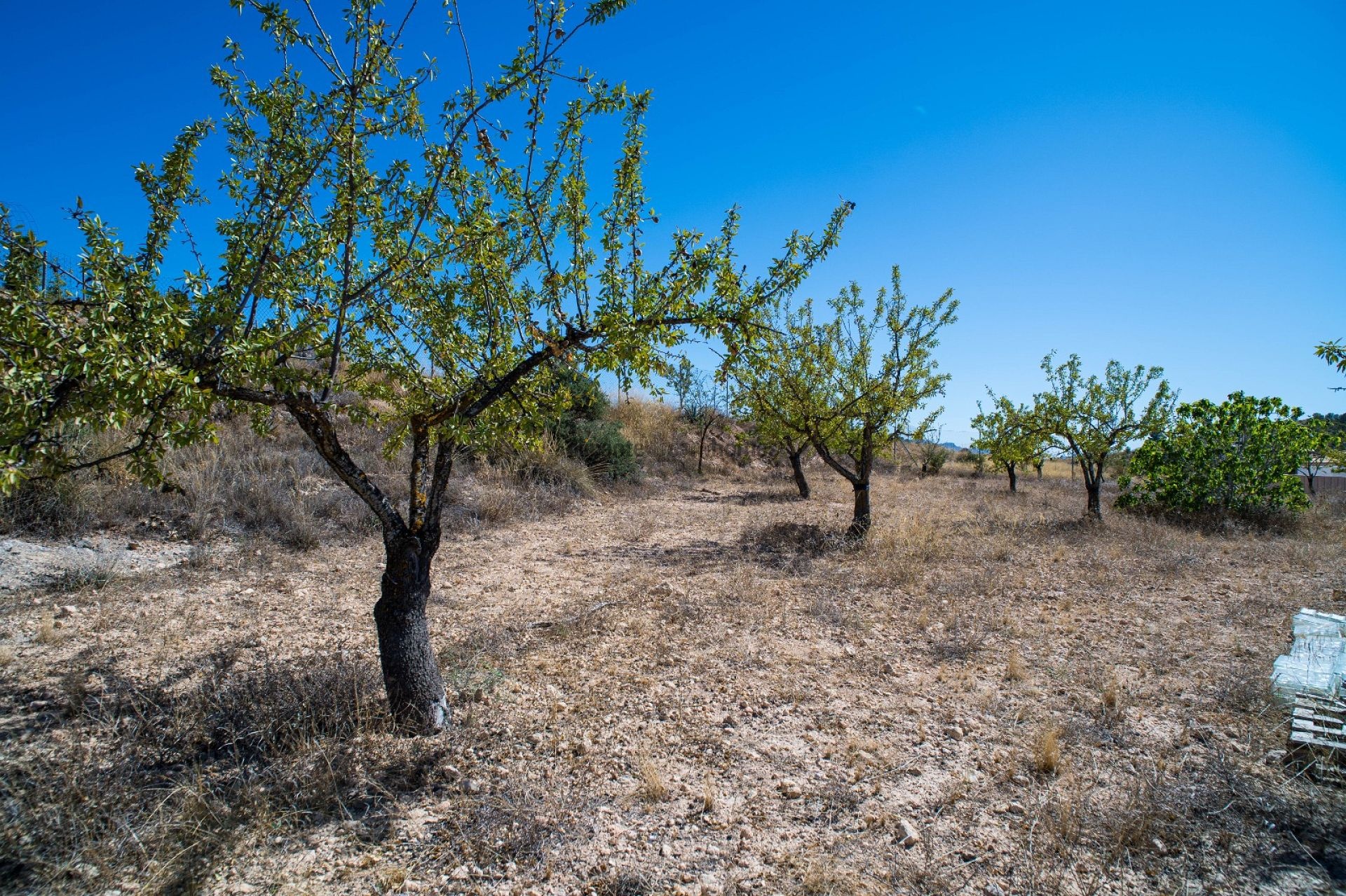 Resale - 3 Bedroom 2 Bathroom Villa in Pinoso -  - Alicante