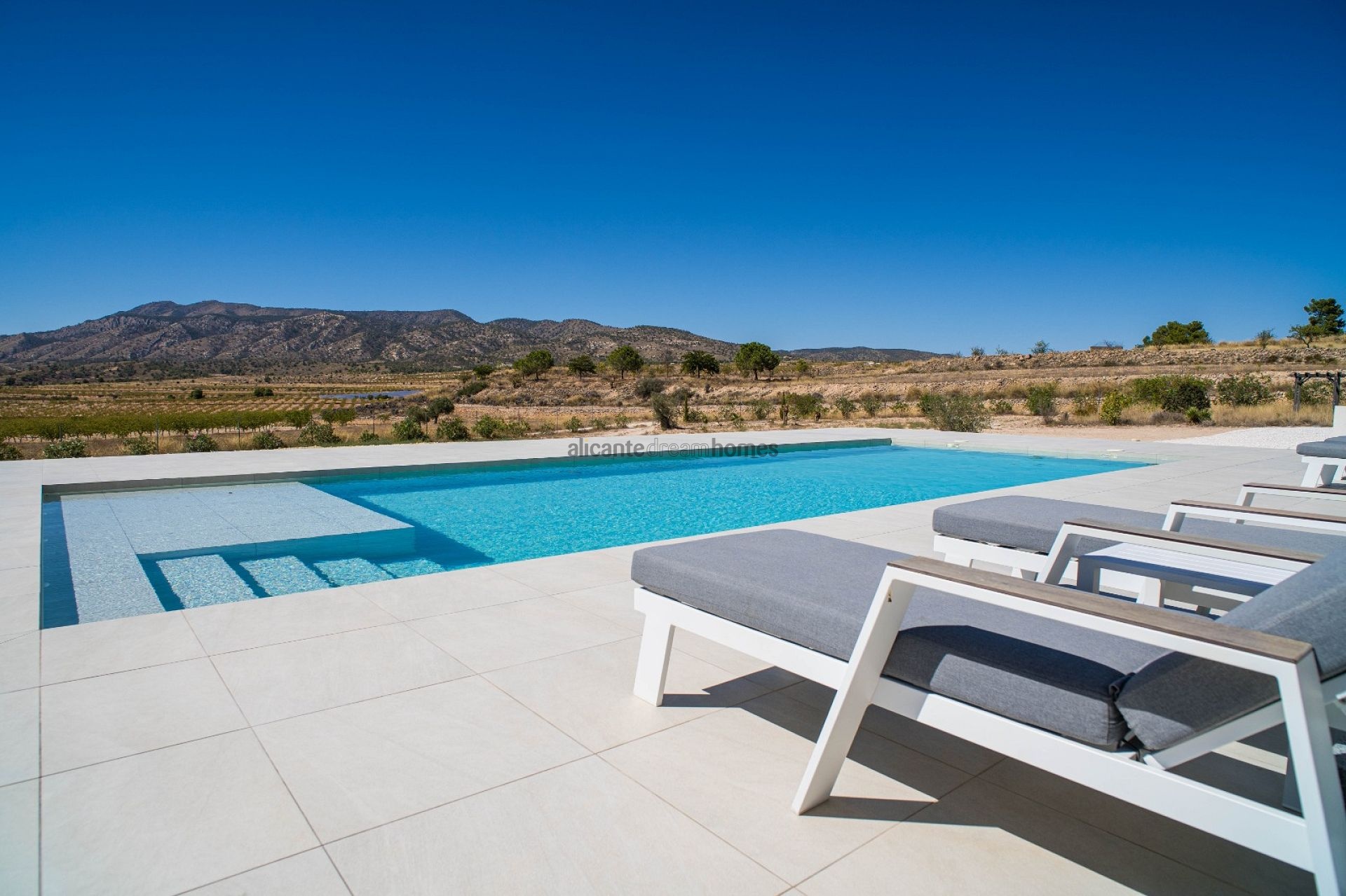 Resale - 3 Bedroom 2 Bathroom Villa in Pinoso -  - Alicante