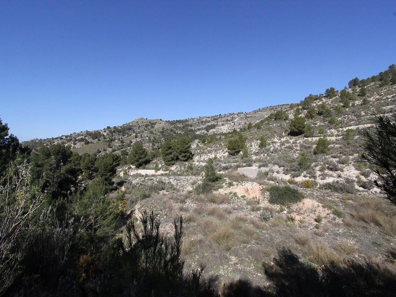 Resale - 3 Bedroom 2 Bathroom Villa in Petrer -  - Alicante