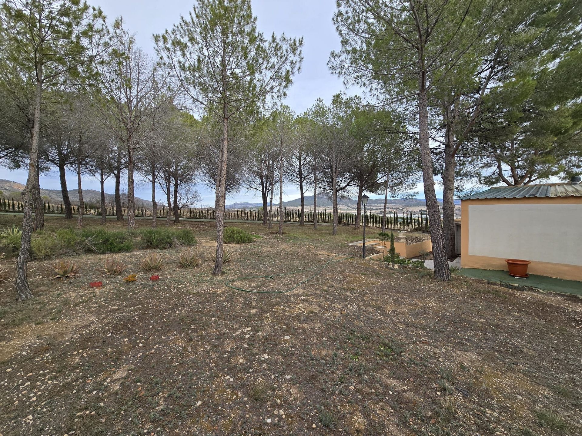 Resale - 4 Bedroom 4 Bathroom Country house in Salinas -  - Alicante