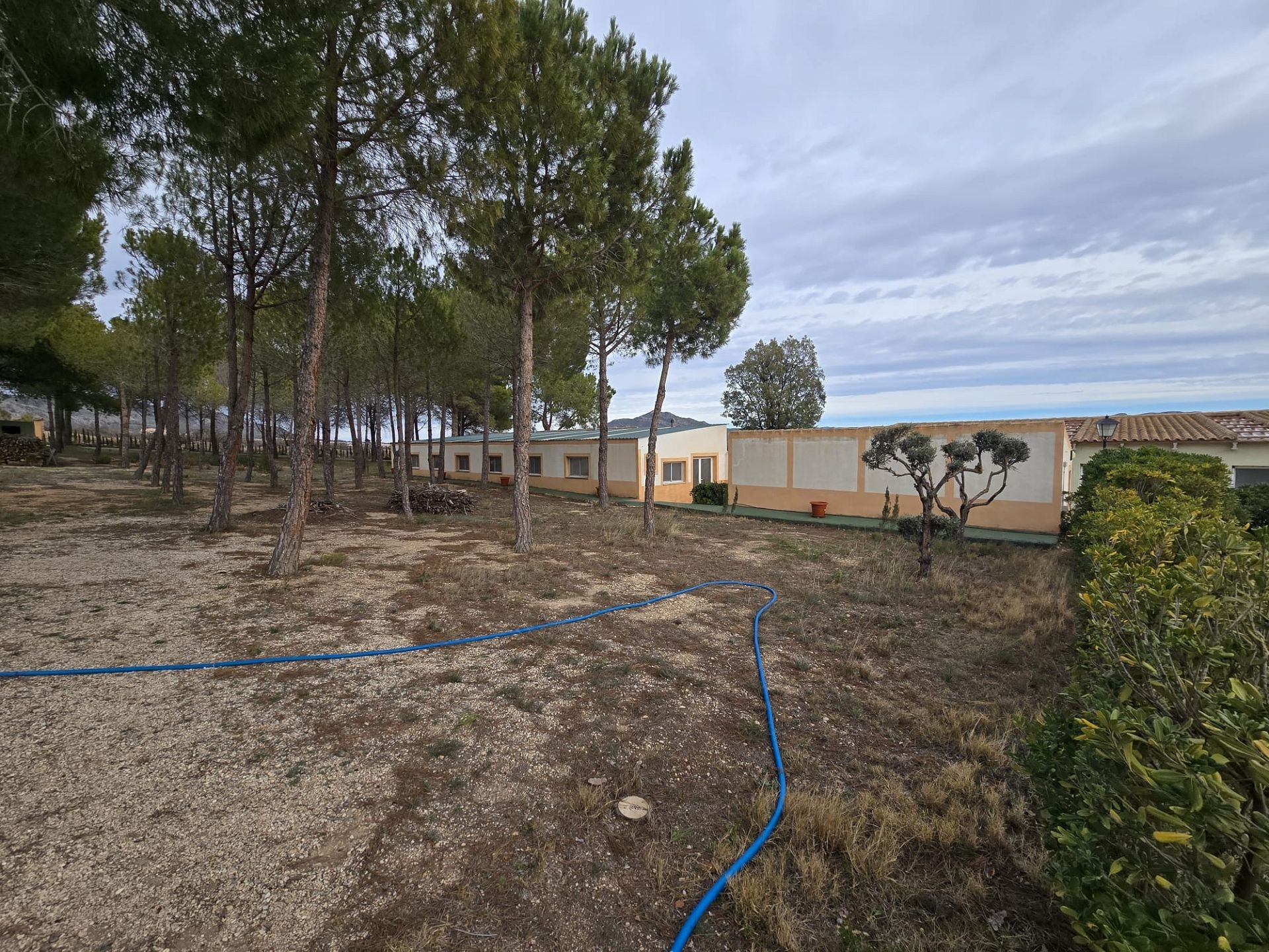 Resale - 4 Bedroom 4 Bathroom Country house in Salinas -  - Alicante